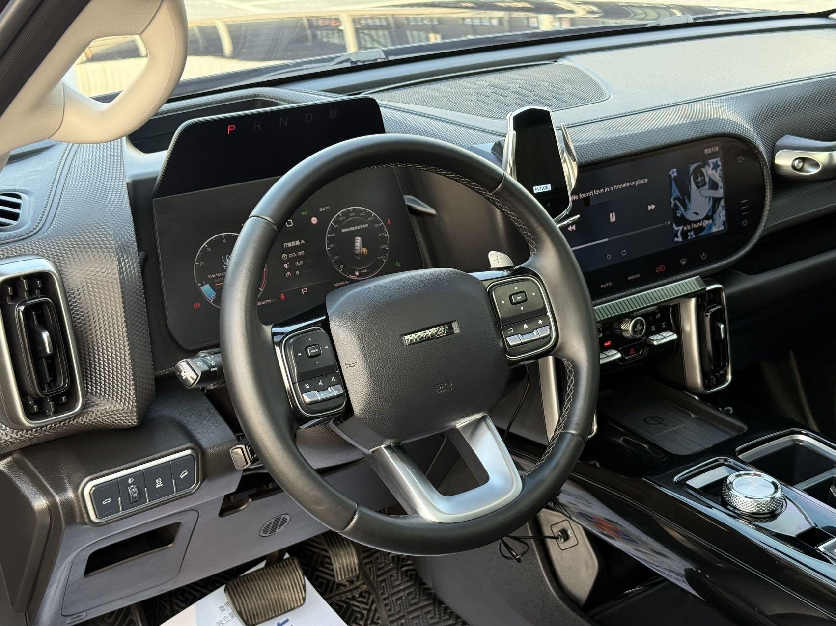 Haval Big Dog 2022 2.0T DCT Four-wheel Drive Chinese Garden Dog Edition 12