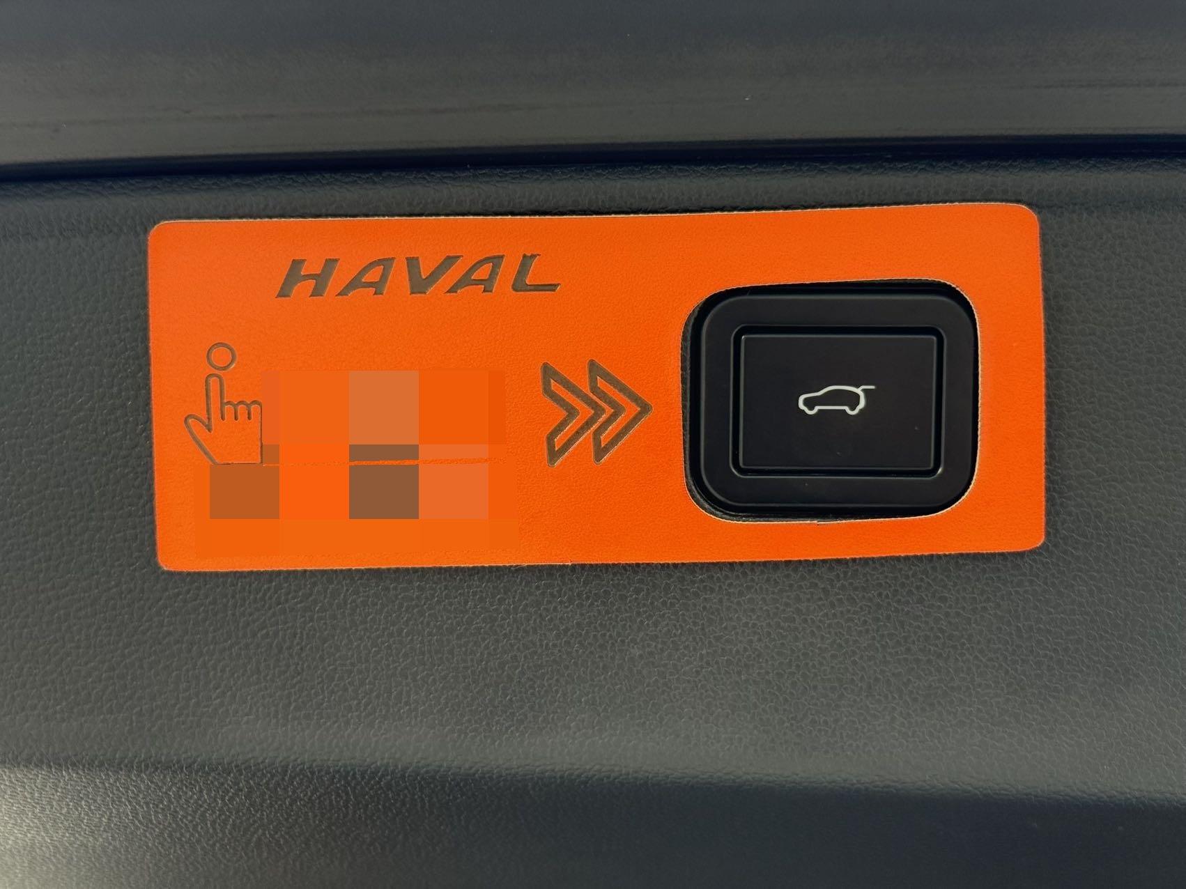 Haval Big Dog 2022 2.0T DCT Four-wheel Drive Chinese Garden Dog Edition 24