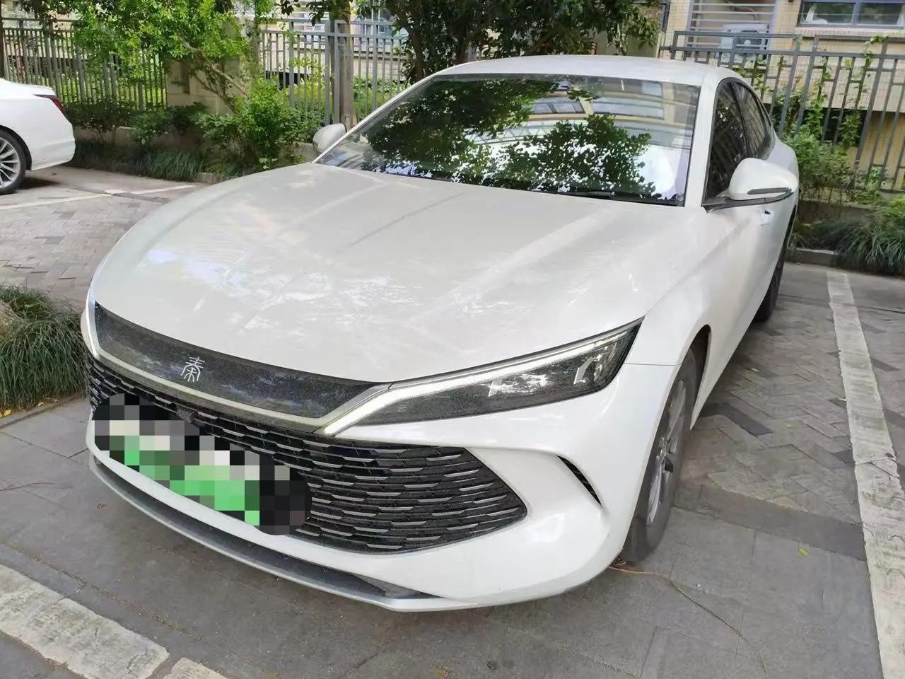 Qin L 2024 DM-i 80km Leading Edition