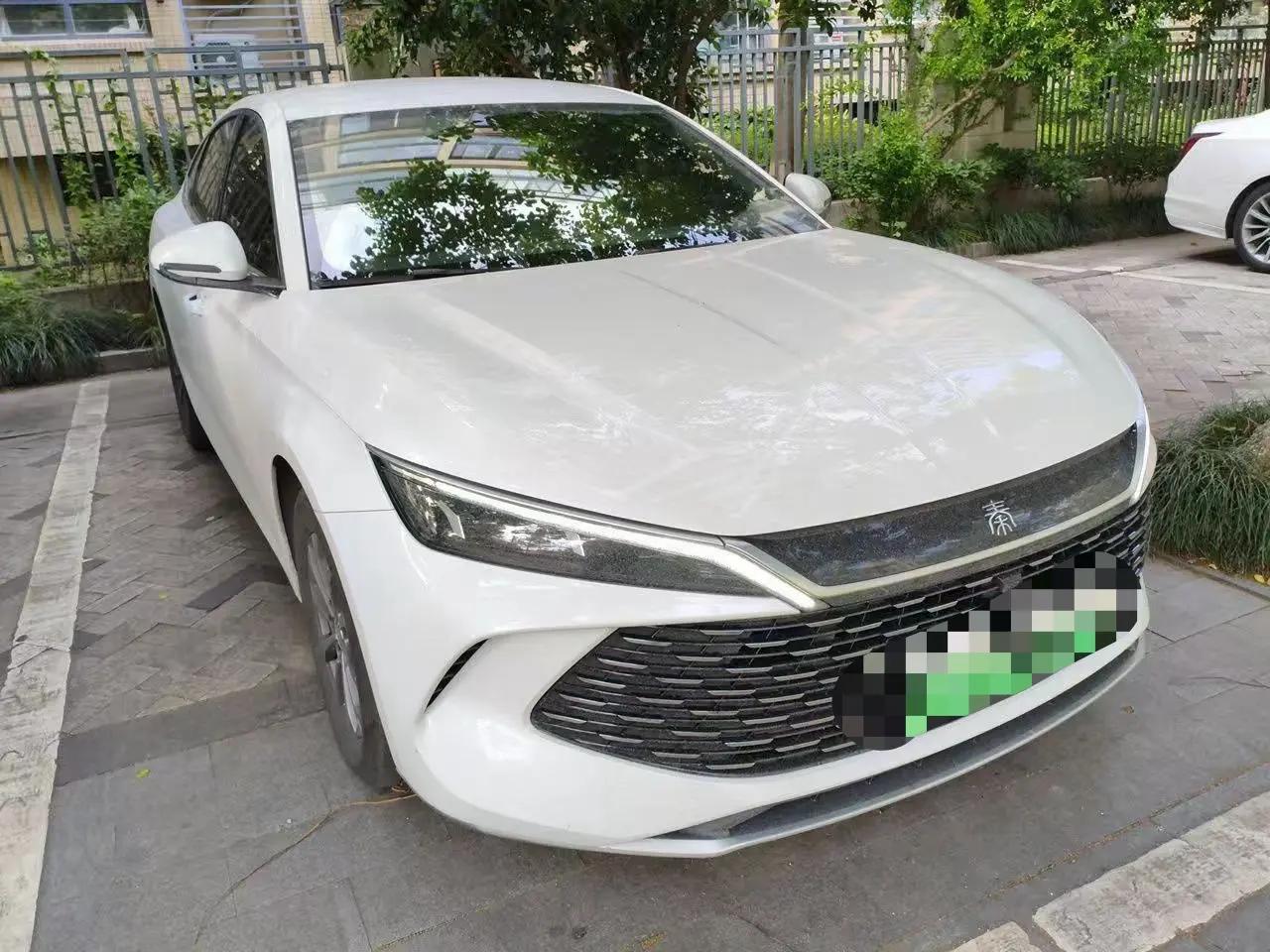 Qin L 2024 DM-i 80km Leading Edition 2