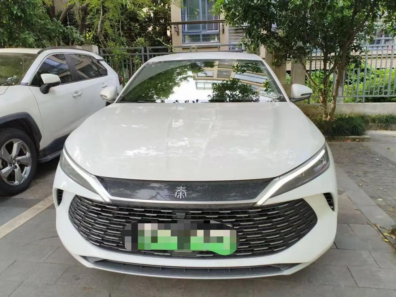Qin L 2024 DM-i 80km Leading Edition 3