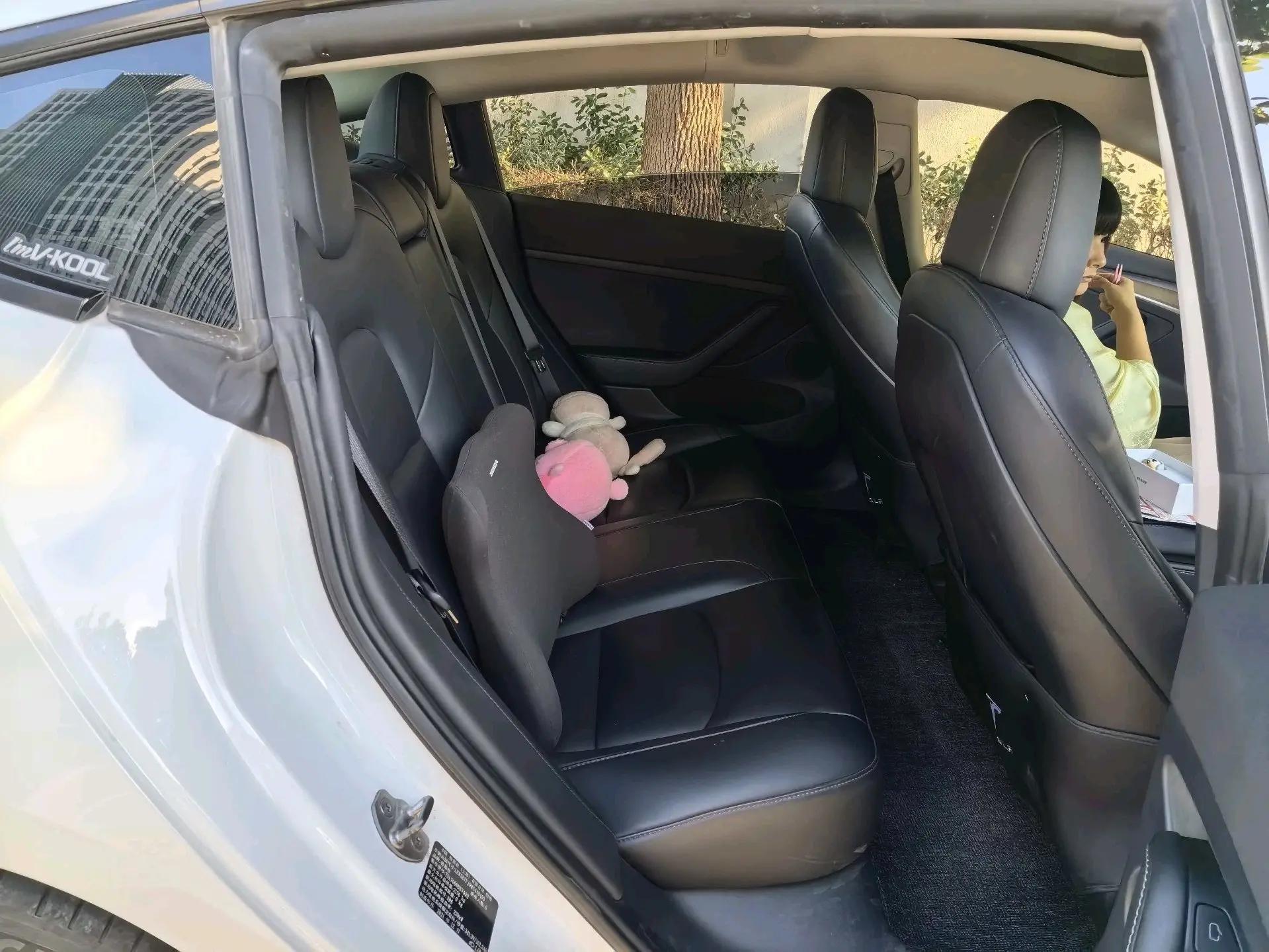 Model 3 2021 Standard Range Rear-Wheel Drive Upgrade 8