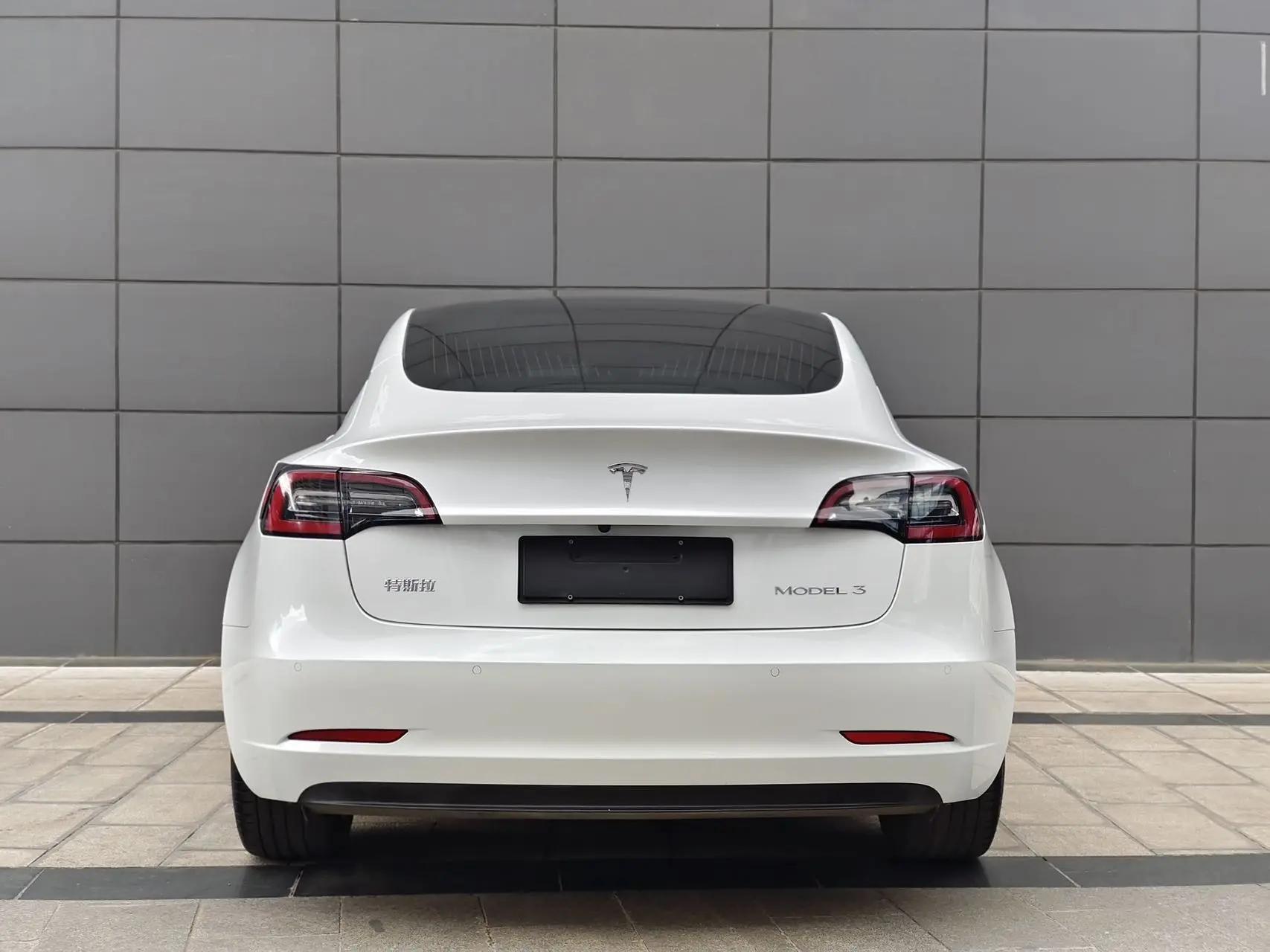 Model 3 2019 Standard Endurance Rear Drive Upgrade 4