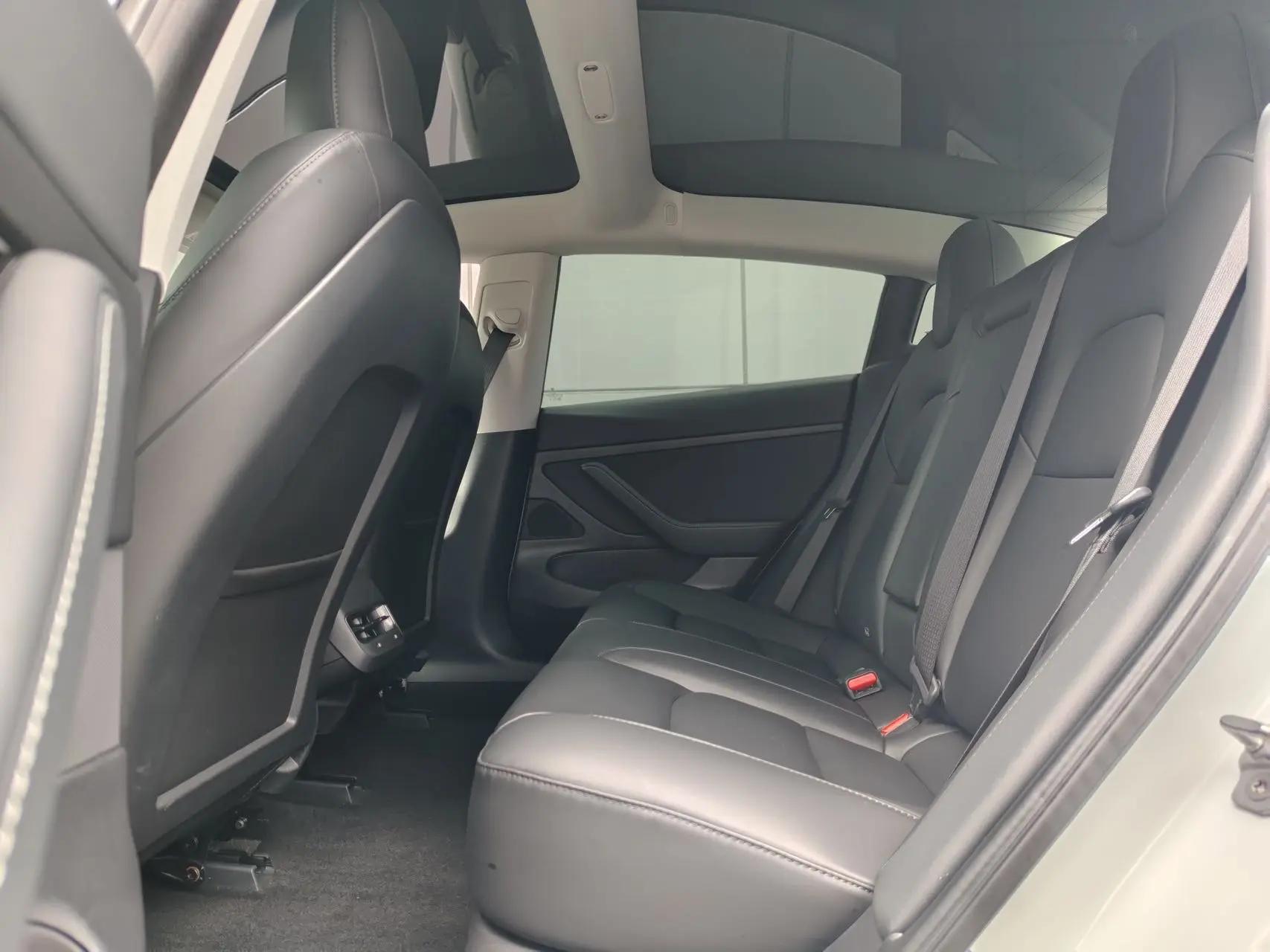 Model 3 2019 Standard Endurance Rear Drive Upgrade 6