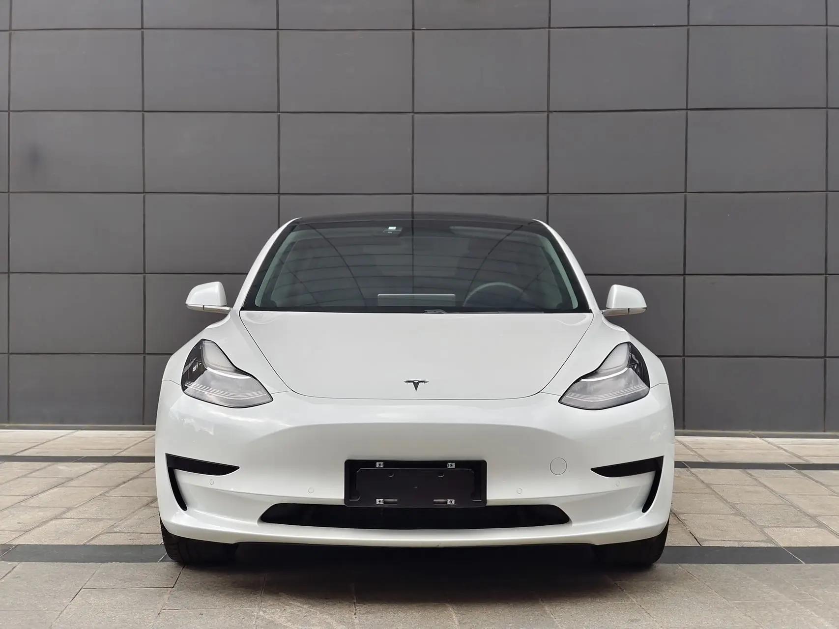 Model 3 2019 Standard Endurance Rear Drive Upgrade 8