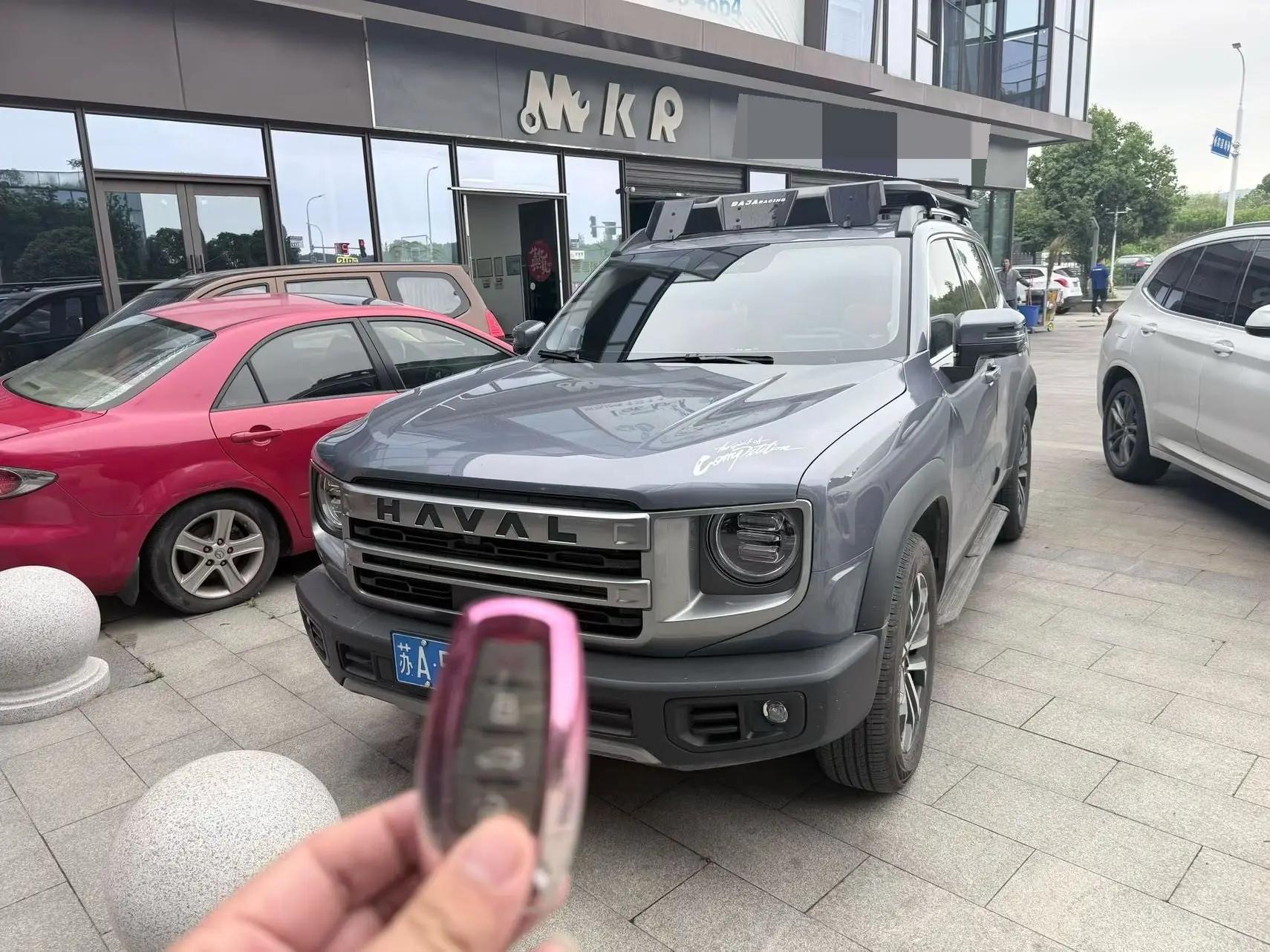 Haval 2024 Dog 1.5T Border Collie Edition Automatic