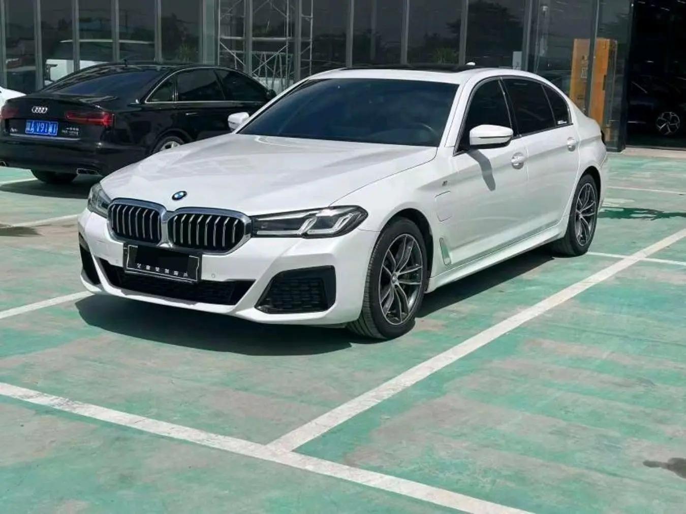 Open image lightbox: BMW 5 series new energy 2021 535Le M sports suit
