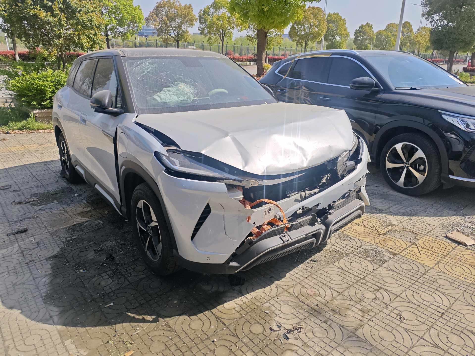 Yuan UP 2024 401KM Leading Model 11