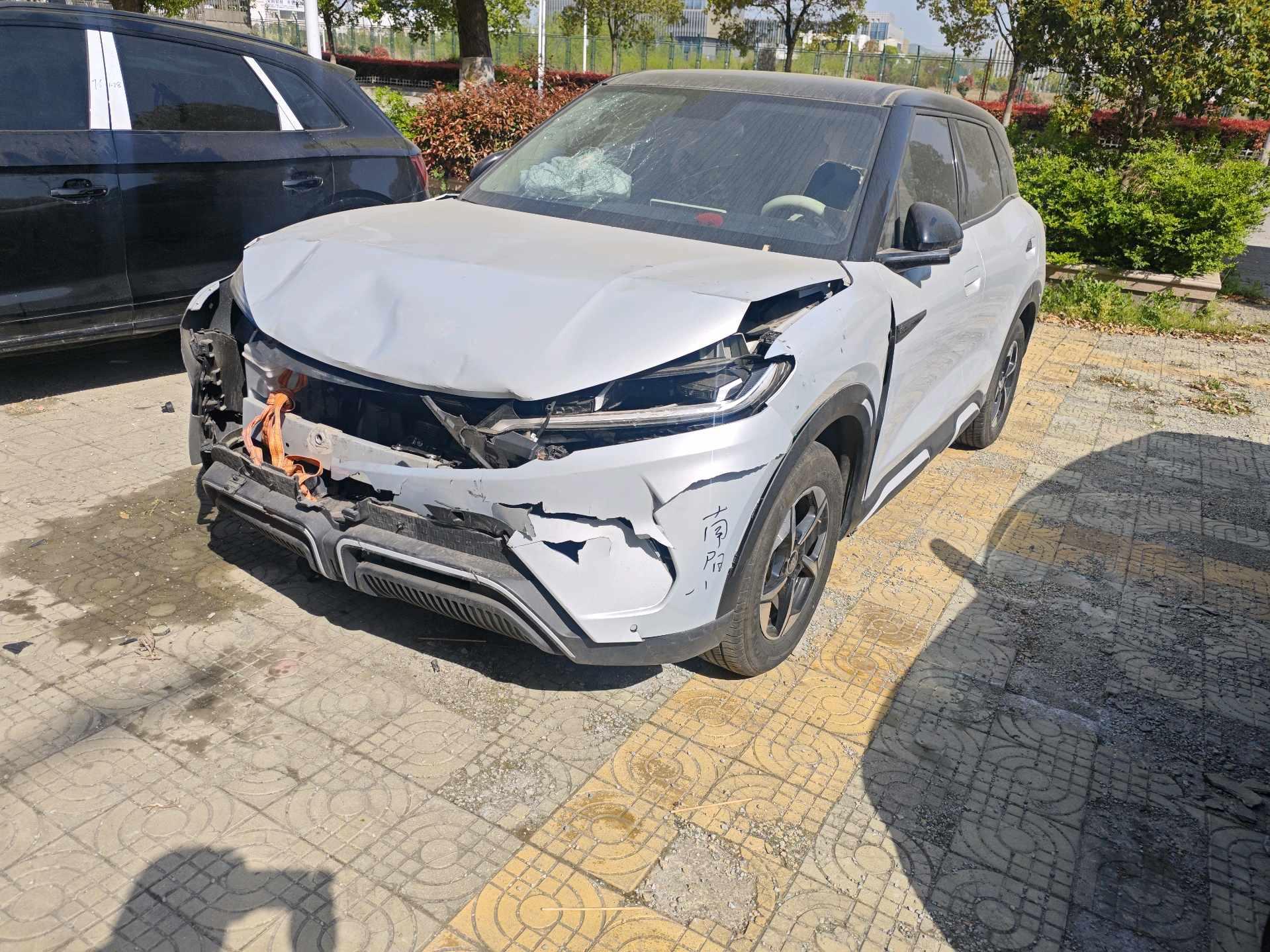 Yuan UP 2024 401KM Leading Model 12