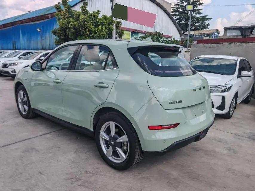 Ora 2025 good cat 430km luxury automatic gear 4