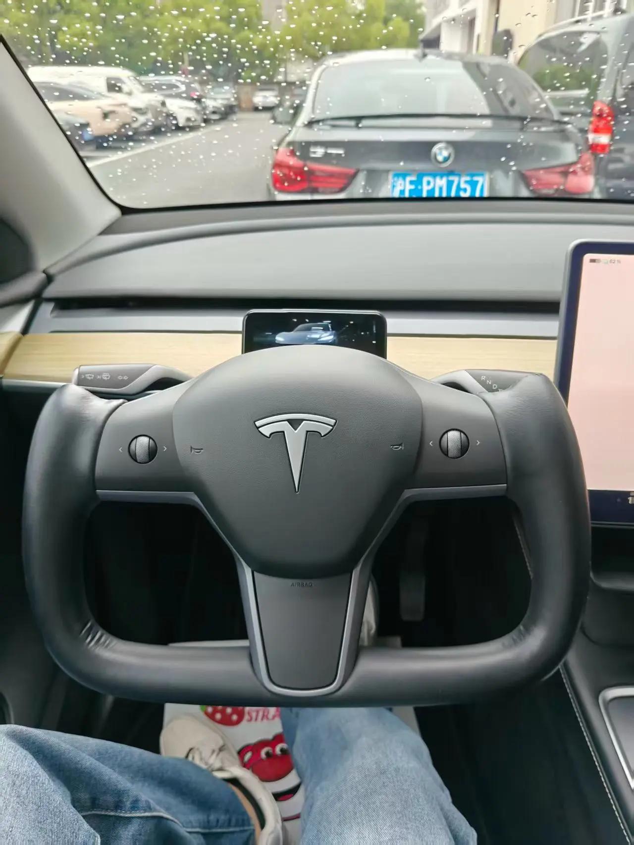 2022 Model Y Facelift Rear-Wheel Drive Version 4