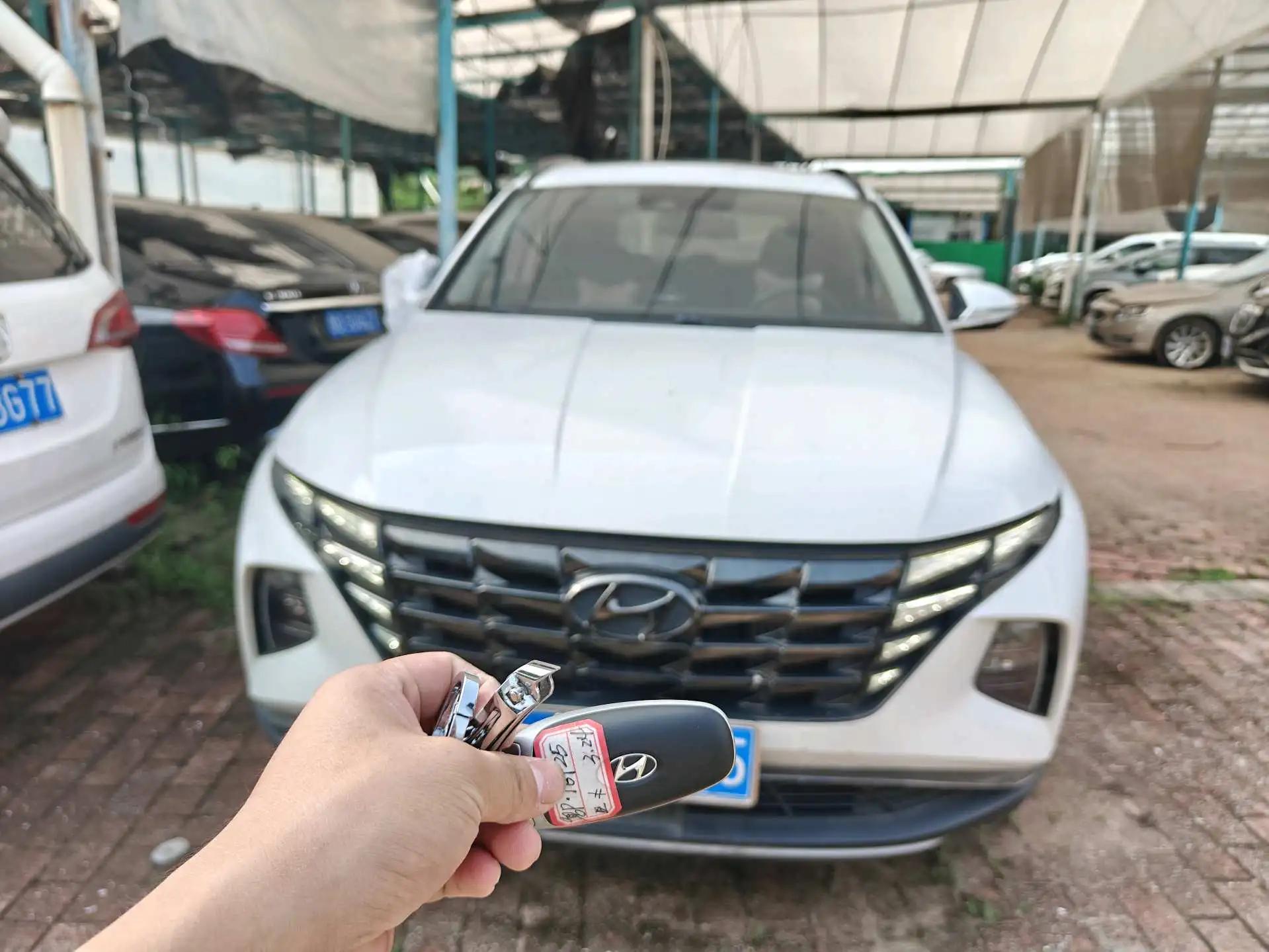 Tousheng 2021 Tousheng L 1.5T LUX Premium Edition 2