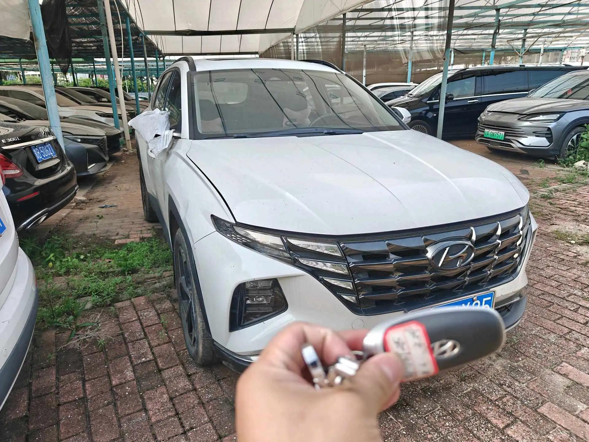 Tousheng 2021 Tousheng L 1.5T LUX Premium Edition 3