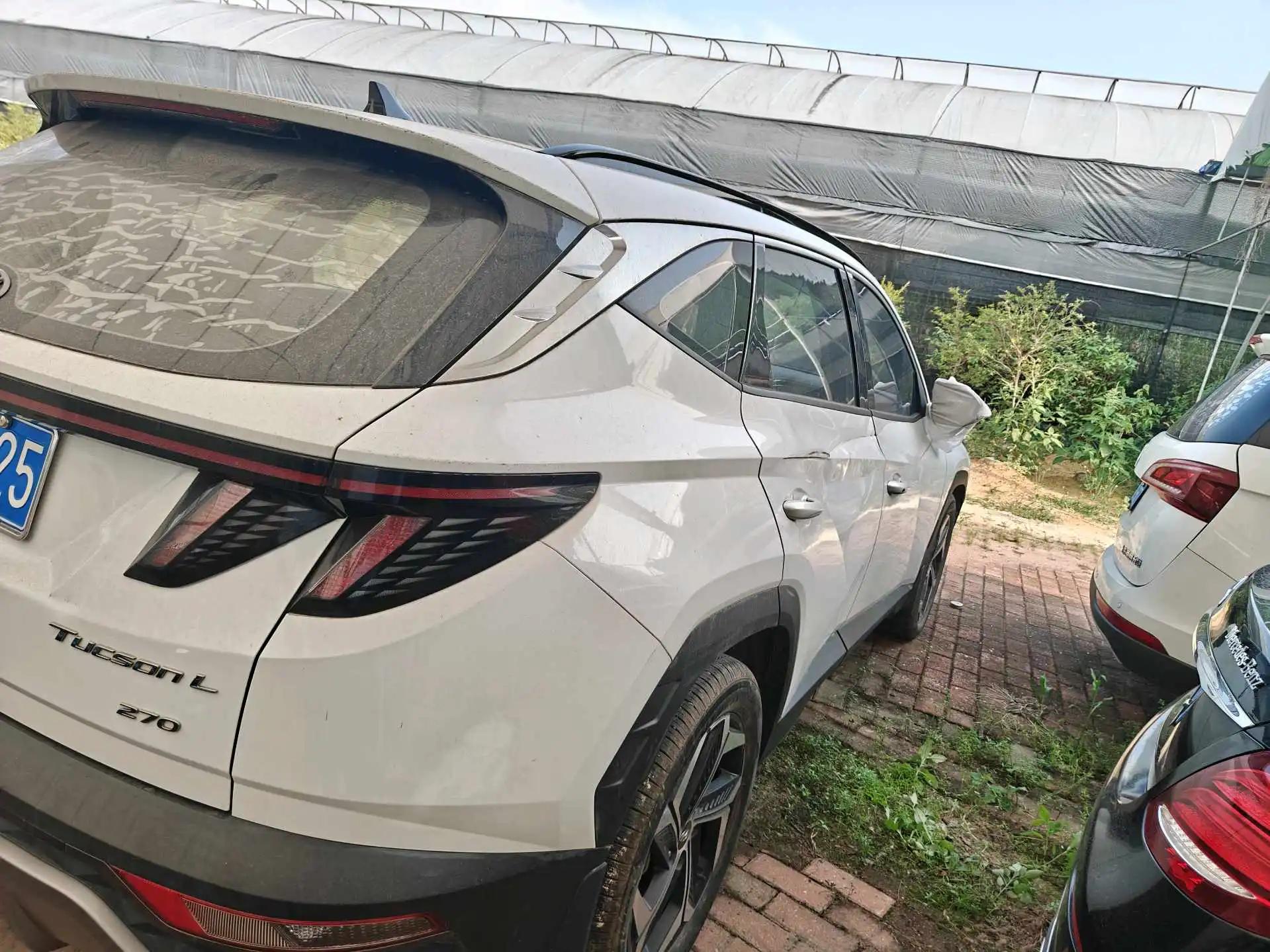 Tousheng 2021 Tousheng L 1.5T LUX Premium Edition 5