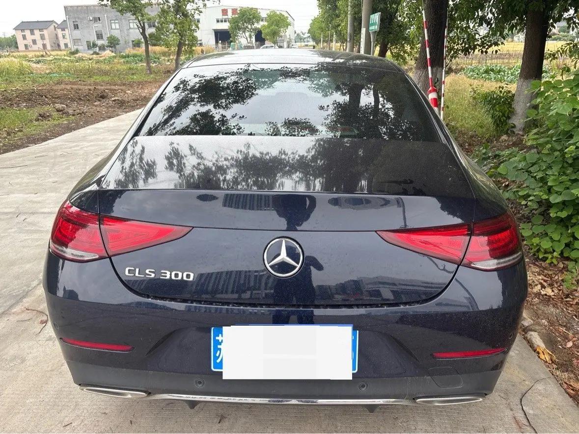 Mercedes Benz CLS 2020 CLS 300 Dynamic 2