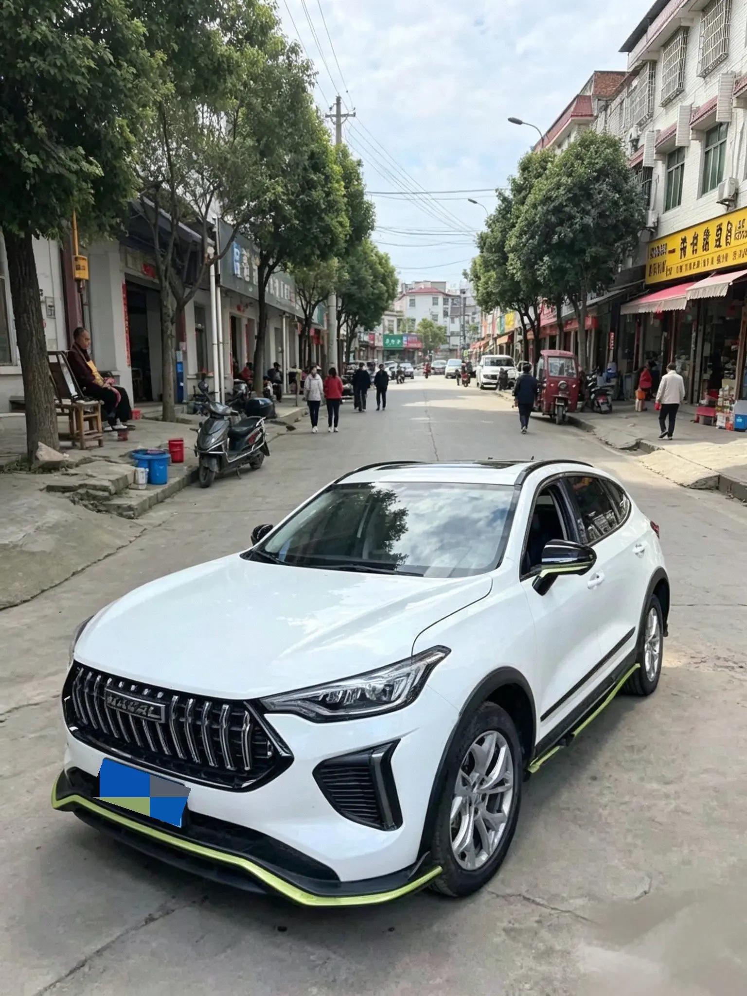 Haval Red Rabbit 2022 Jin Xiang Edition 1.5T Copper Rabbit