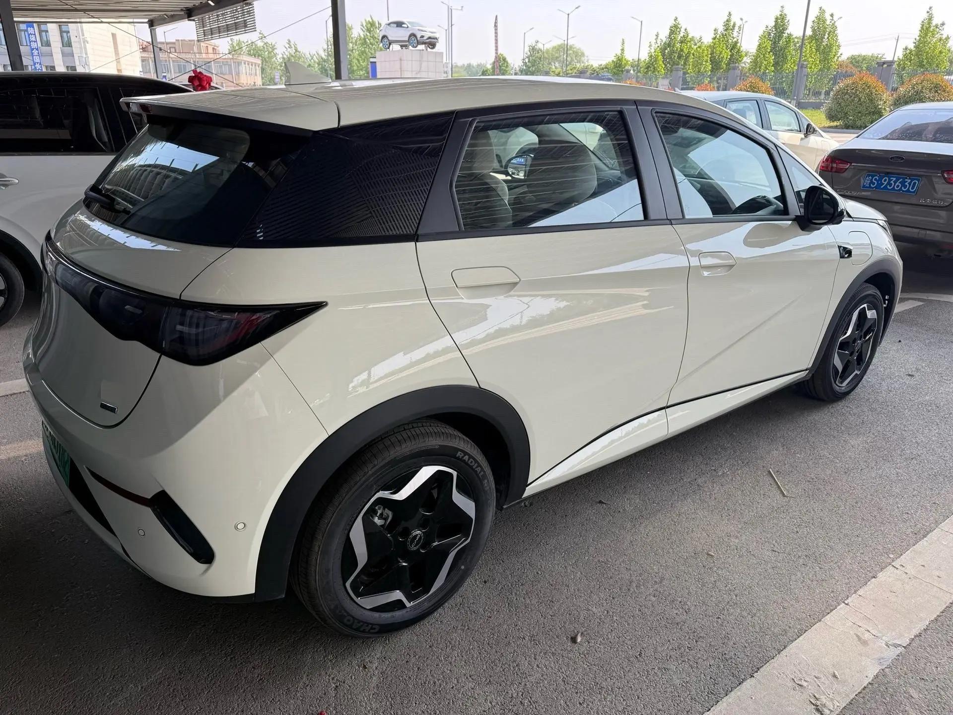 BYD 2025 Dolphin Intelligent Driving Edition 420km Free Edition Automatic 4