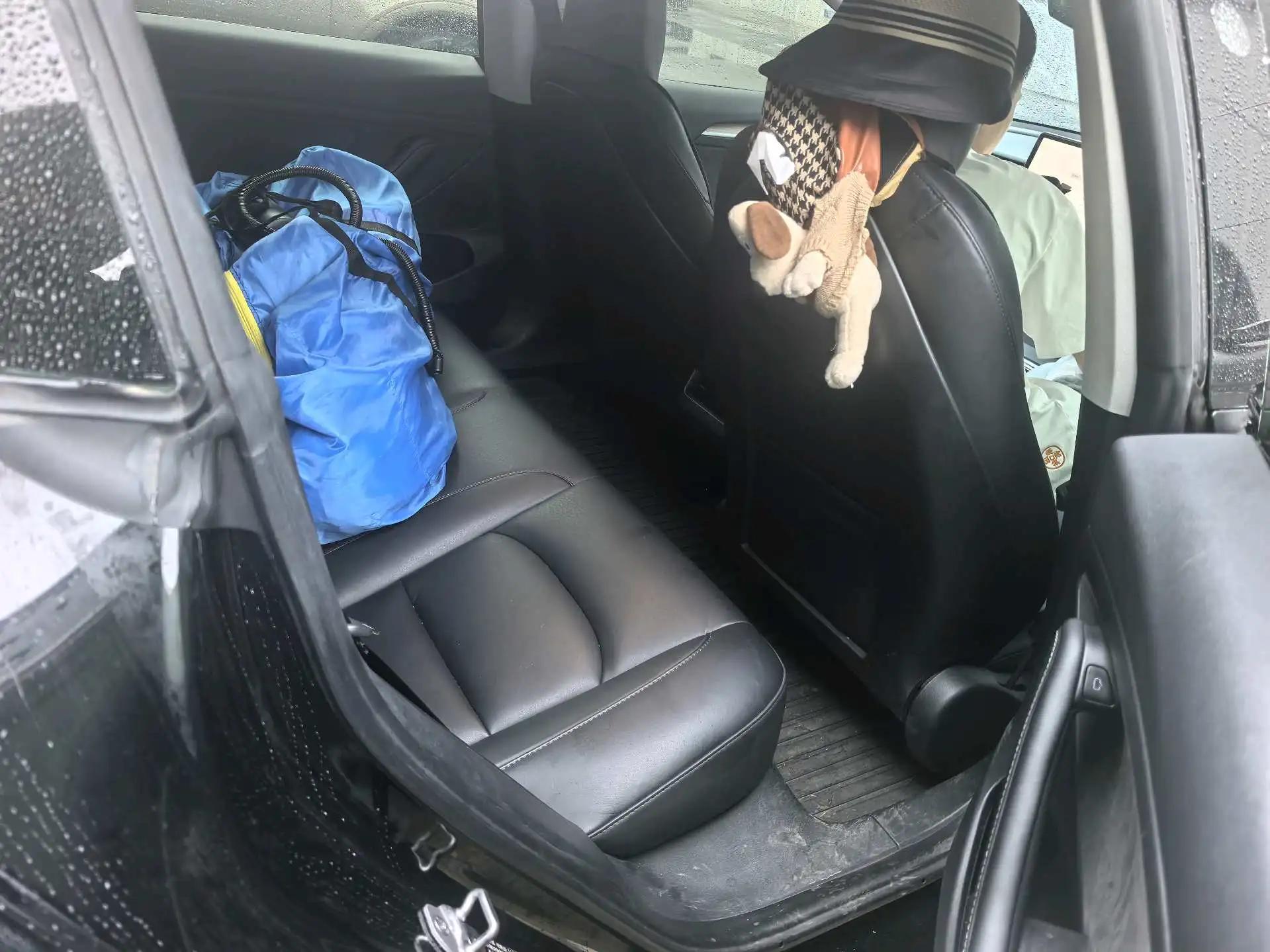 Model 3 2022 rear-wheel drive version 4