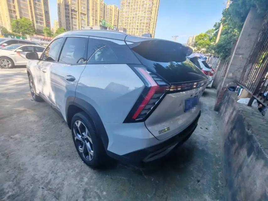 Boyue L 2024 1.5TD DCT Prestige Edition 5
