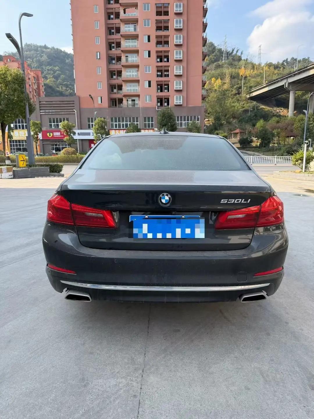 BMW 5 Series 2020 525Li Deluxe Suit 7
