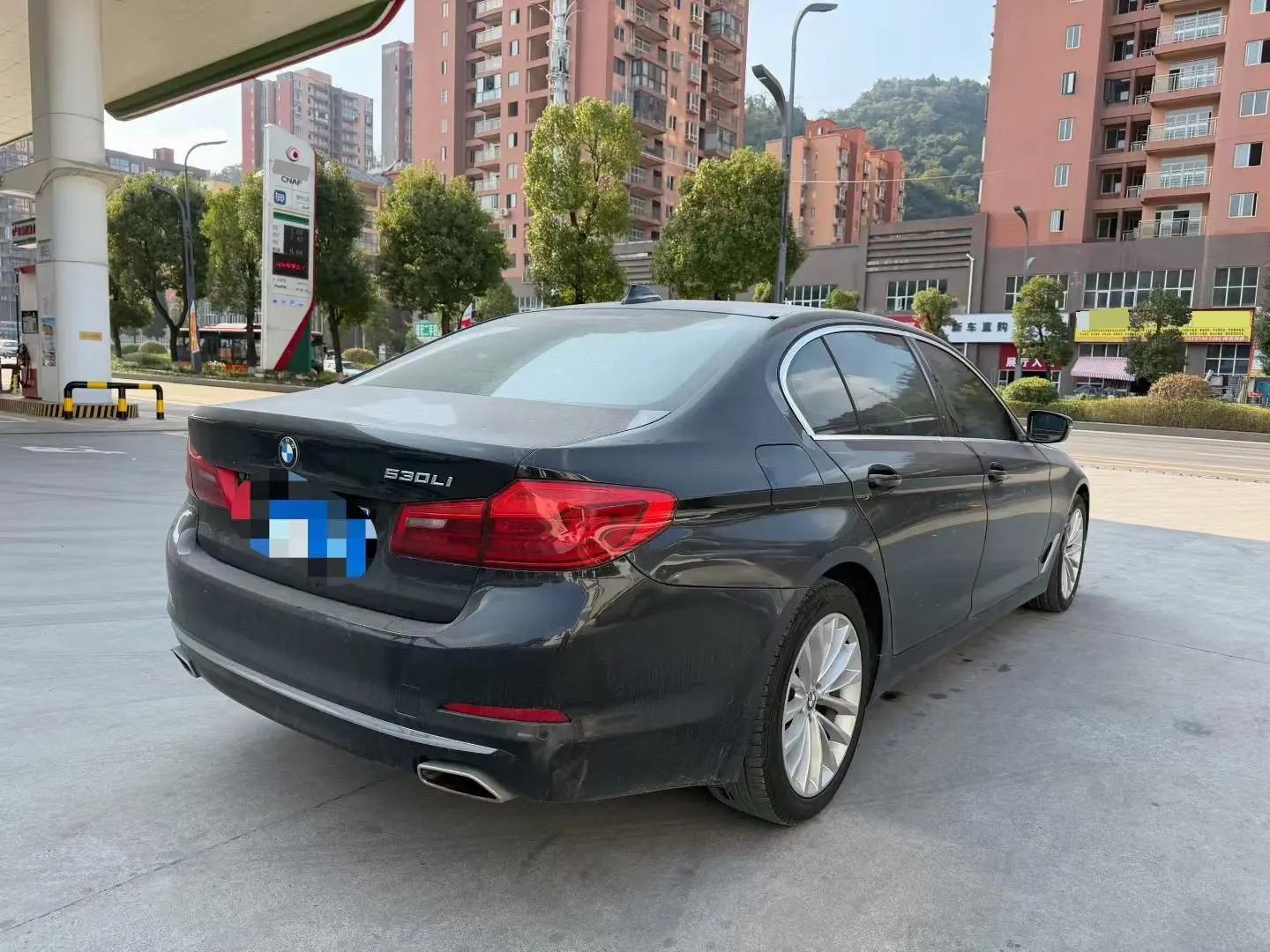BMW 5 Series 2020 525Li Deluxe Suit 8