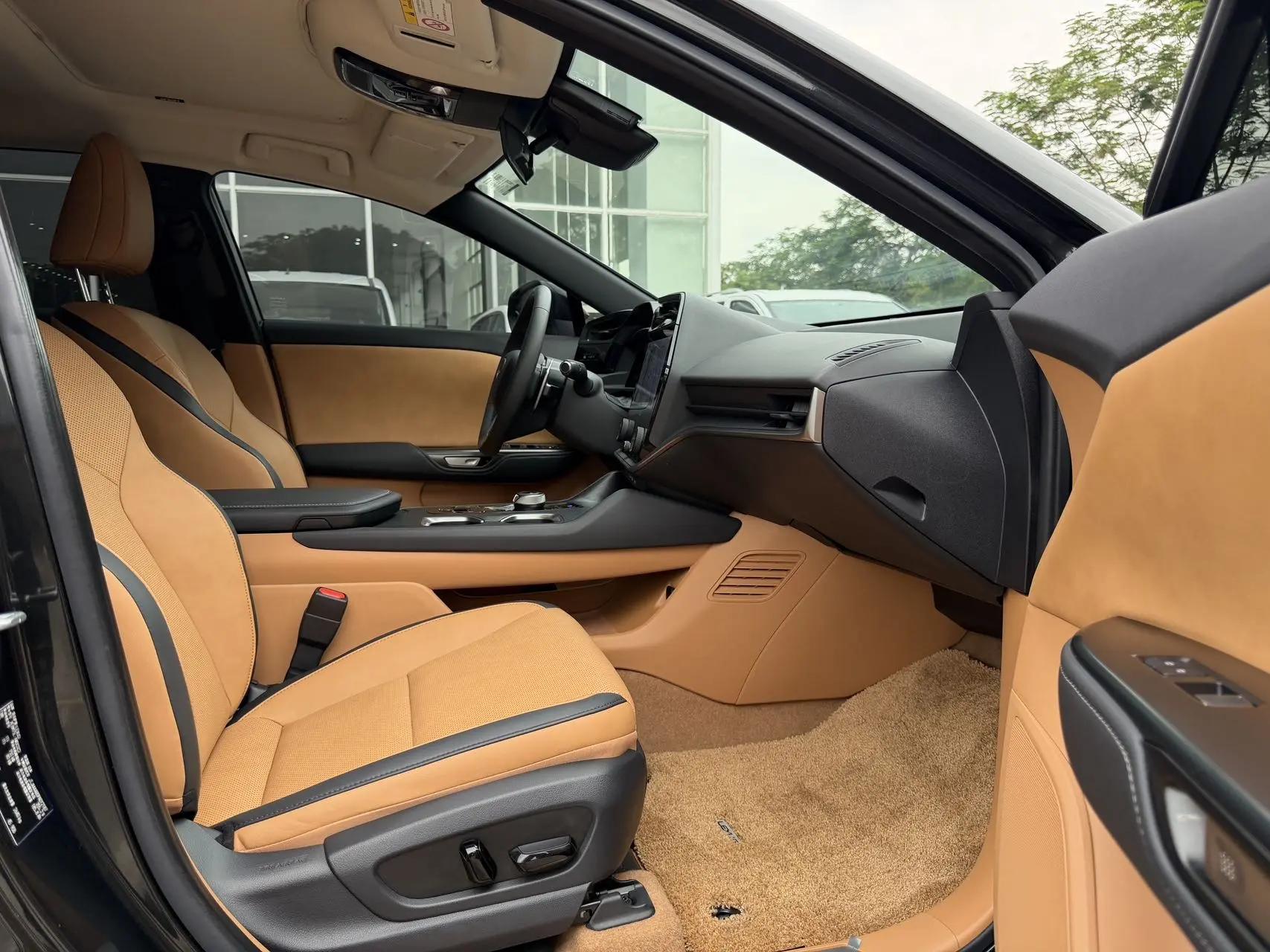 Lexus RZ 2023 450e 4WD Vertical Edition 9