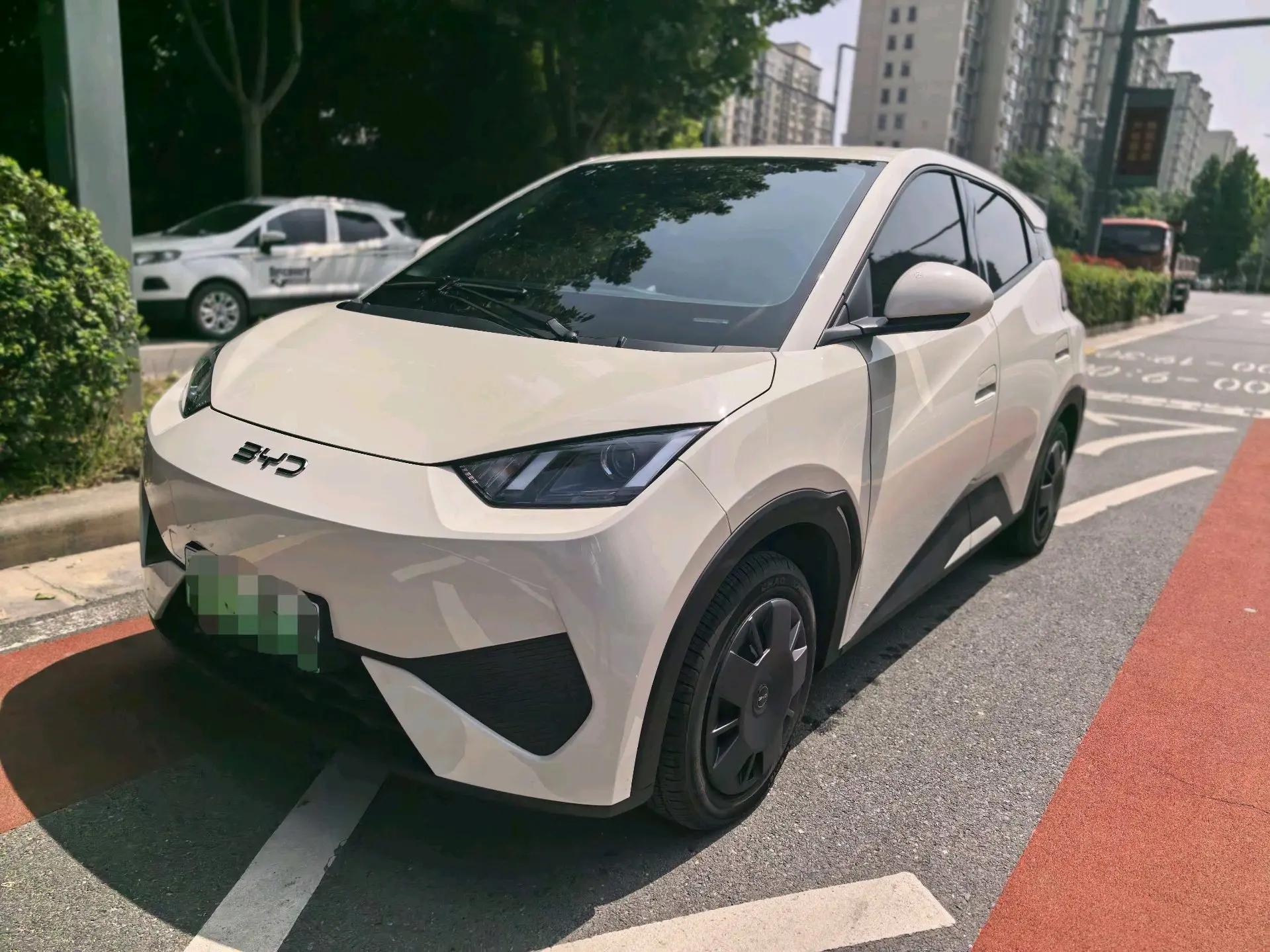BYD 2025 Sea Swallow 305km Vitality Edition Automatic