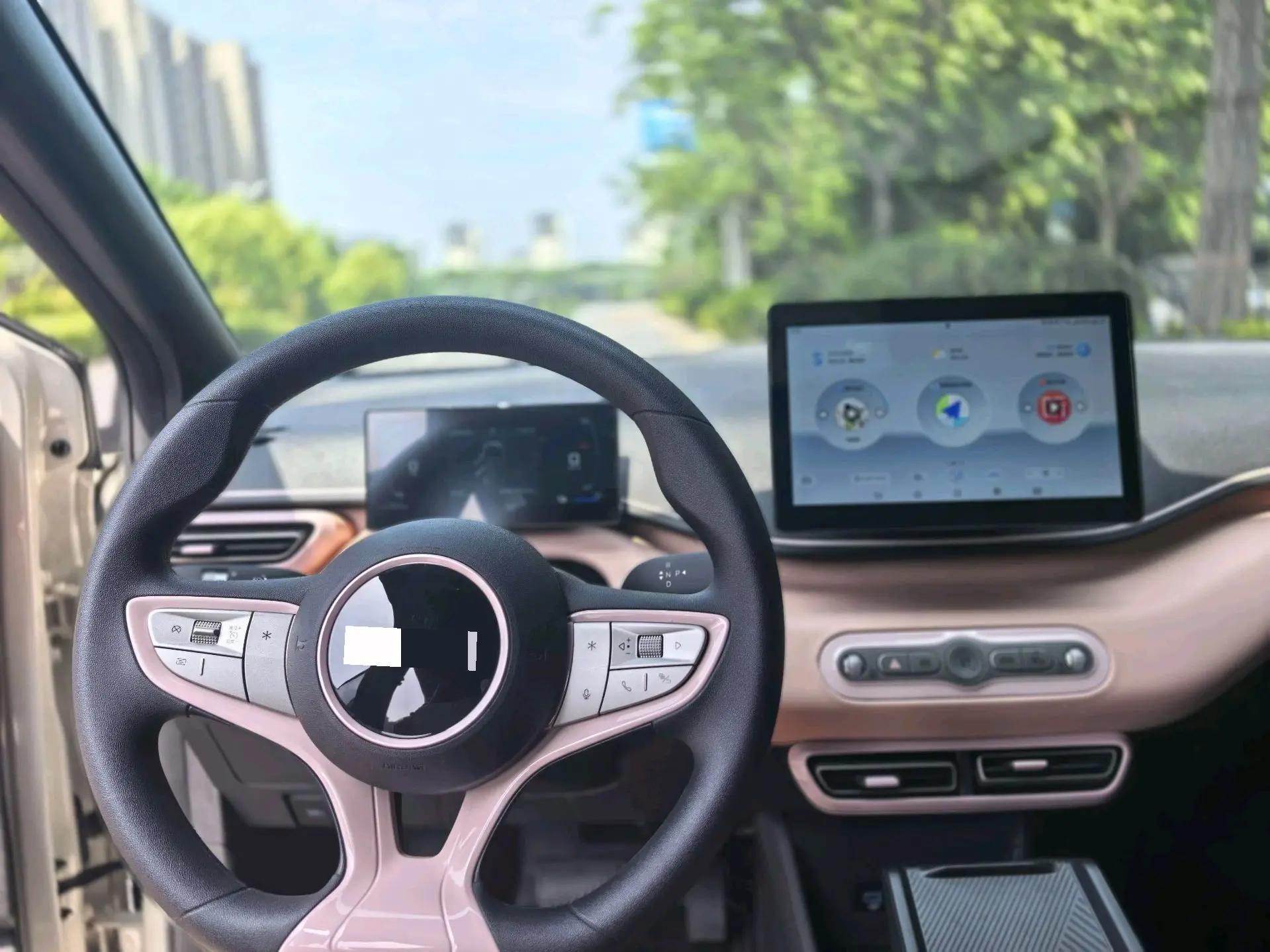 BYD 2025 Sea Swallow 305km Vitality Edition Automatic 9