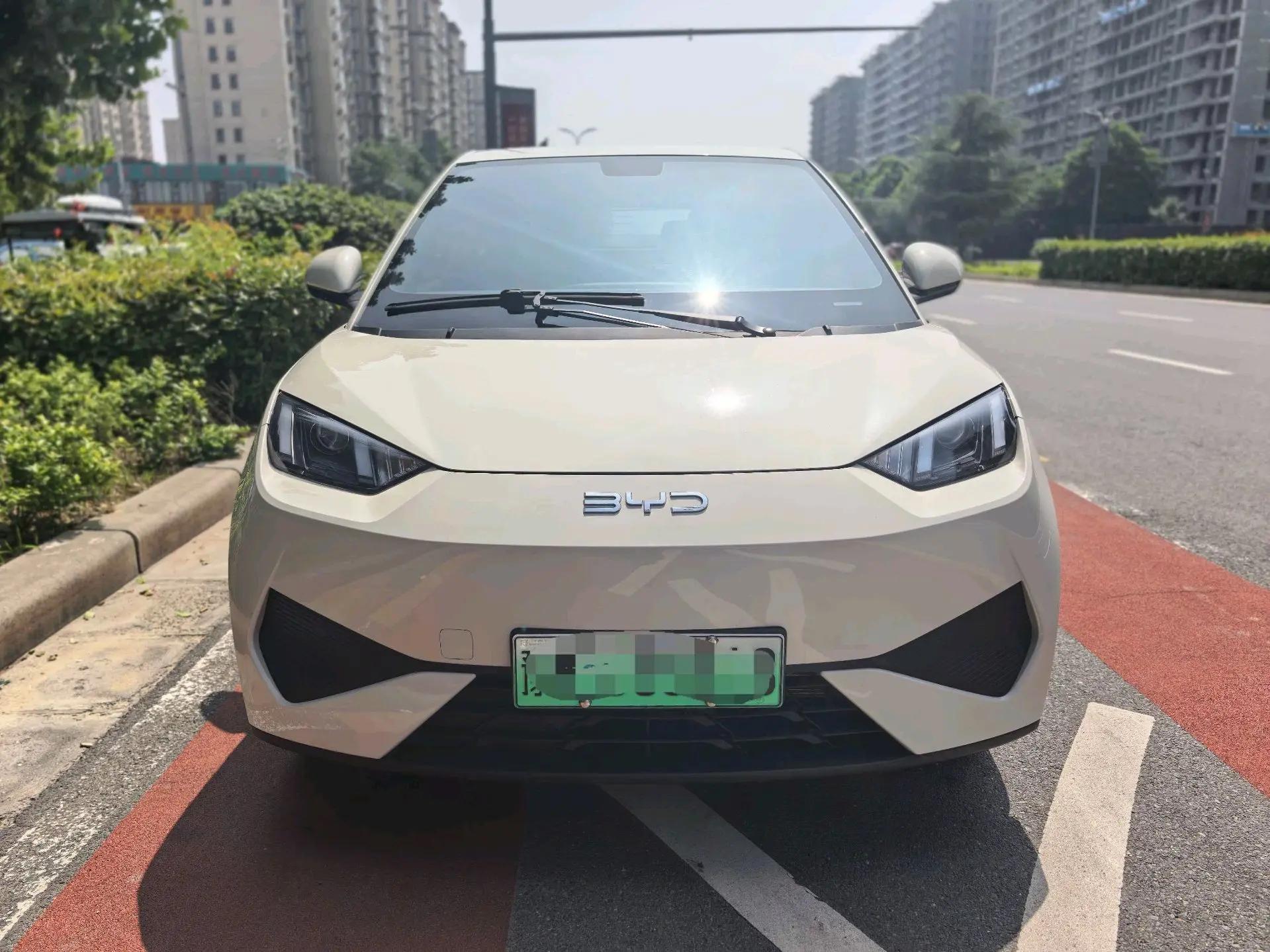 BYD 2025 Sea Swallow 305km Vitality Edition Automatic 2