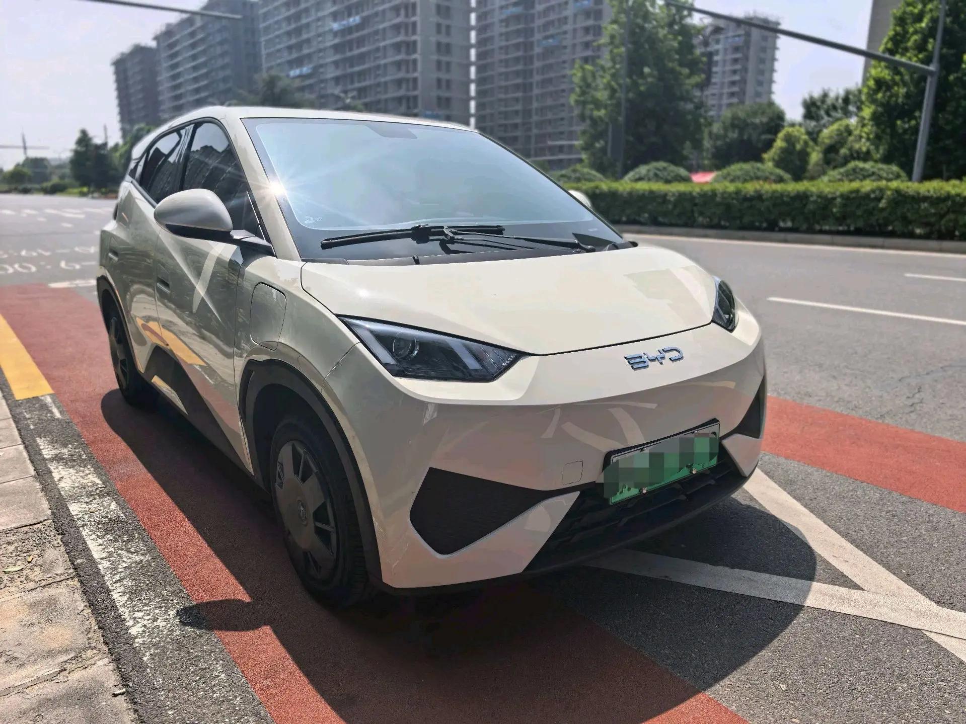 BYD 2025 Sea Swallow 305km Vitality Edition Automatic 3
