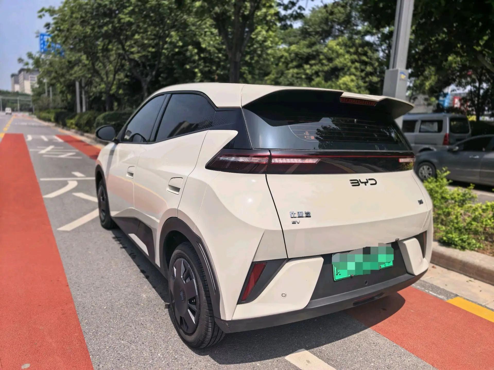 BYD 2025 Sea Swallow 305km Vitality Edition Automatic 4