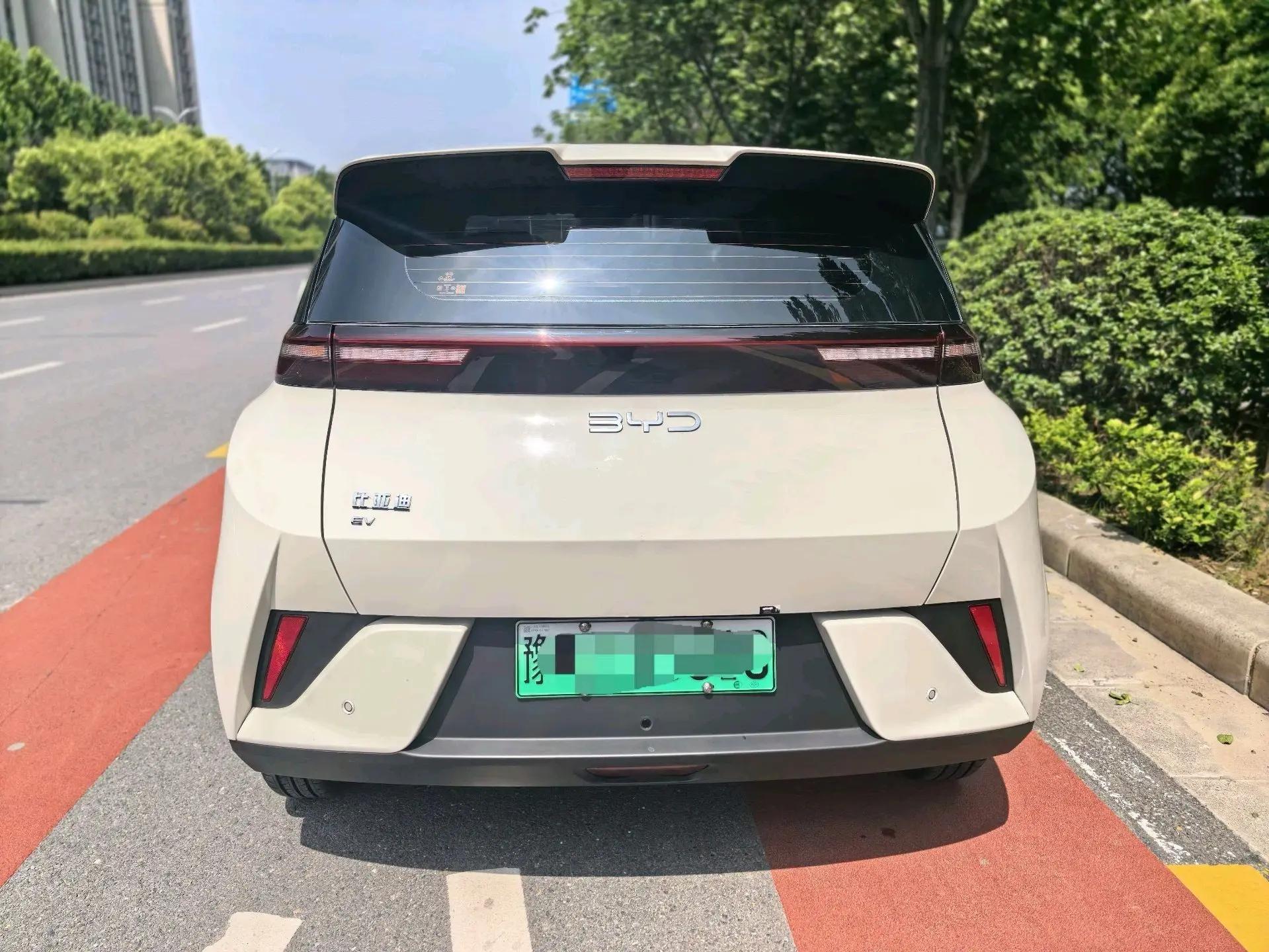 BYD 2025 Sea Swallow 305km Vitality Edition Automatic 5