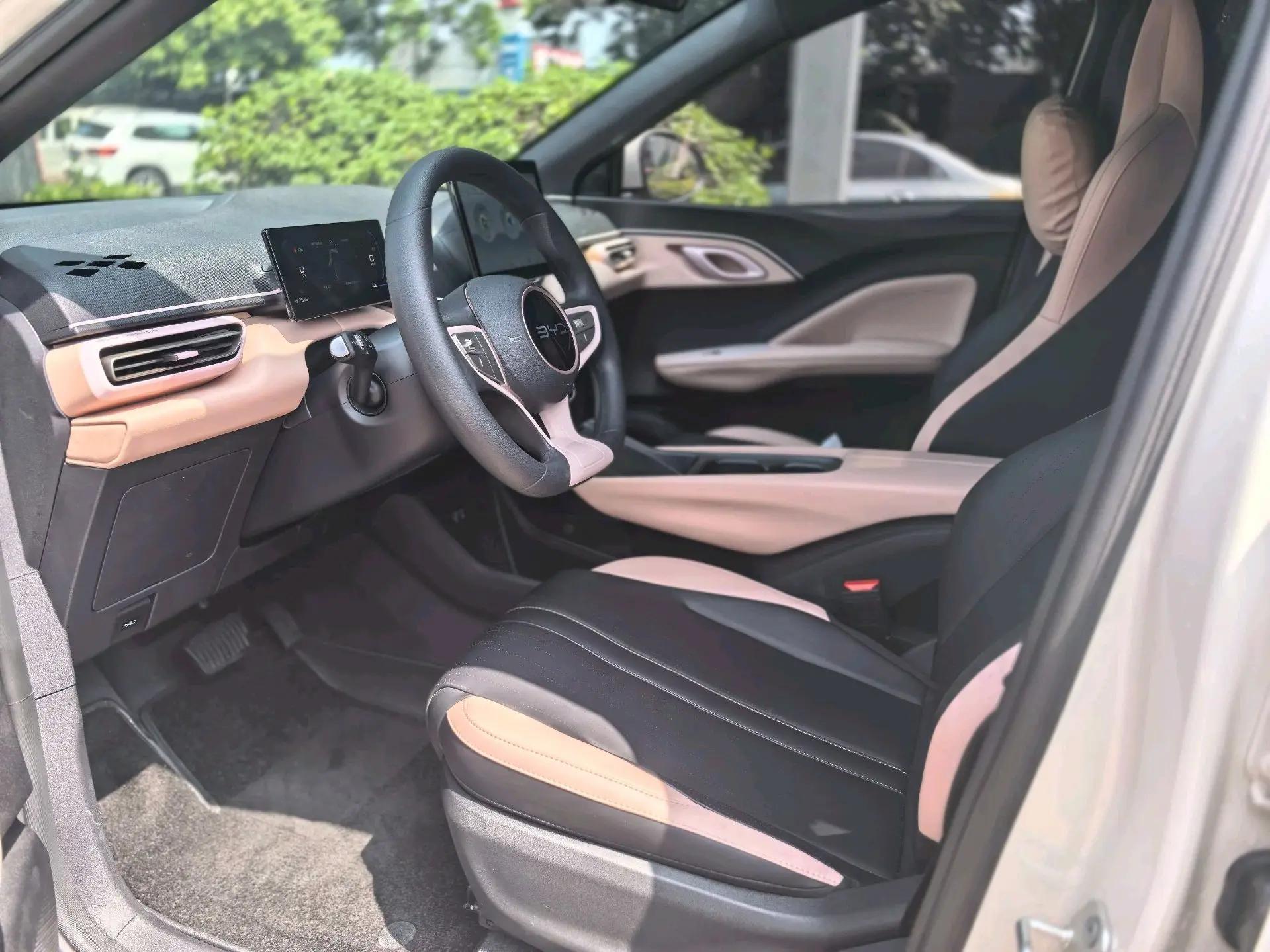BYD 2025 Sea Swallow 305km Vitality Edition Automatic 7