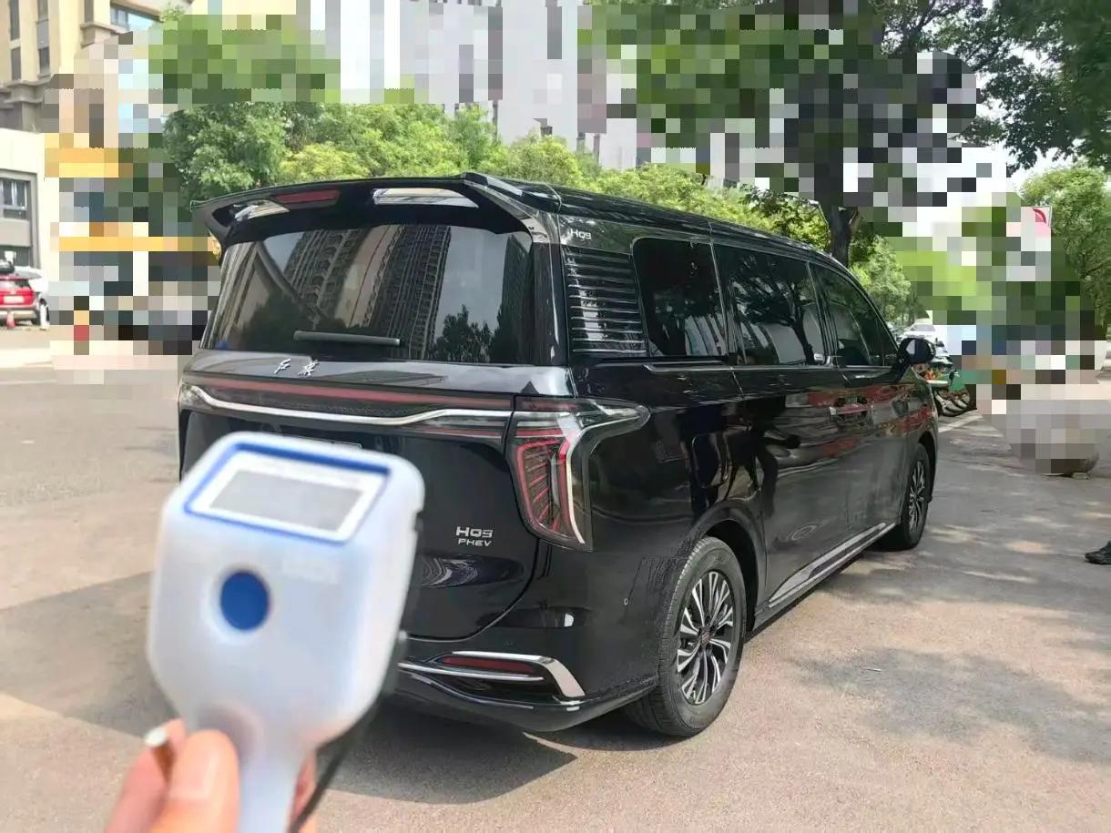 HongQi HQ9 2024 2.0T Deluxe Edition 5
