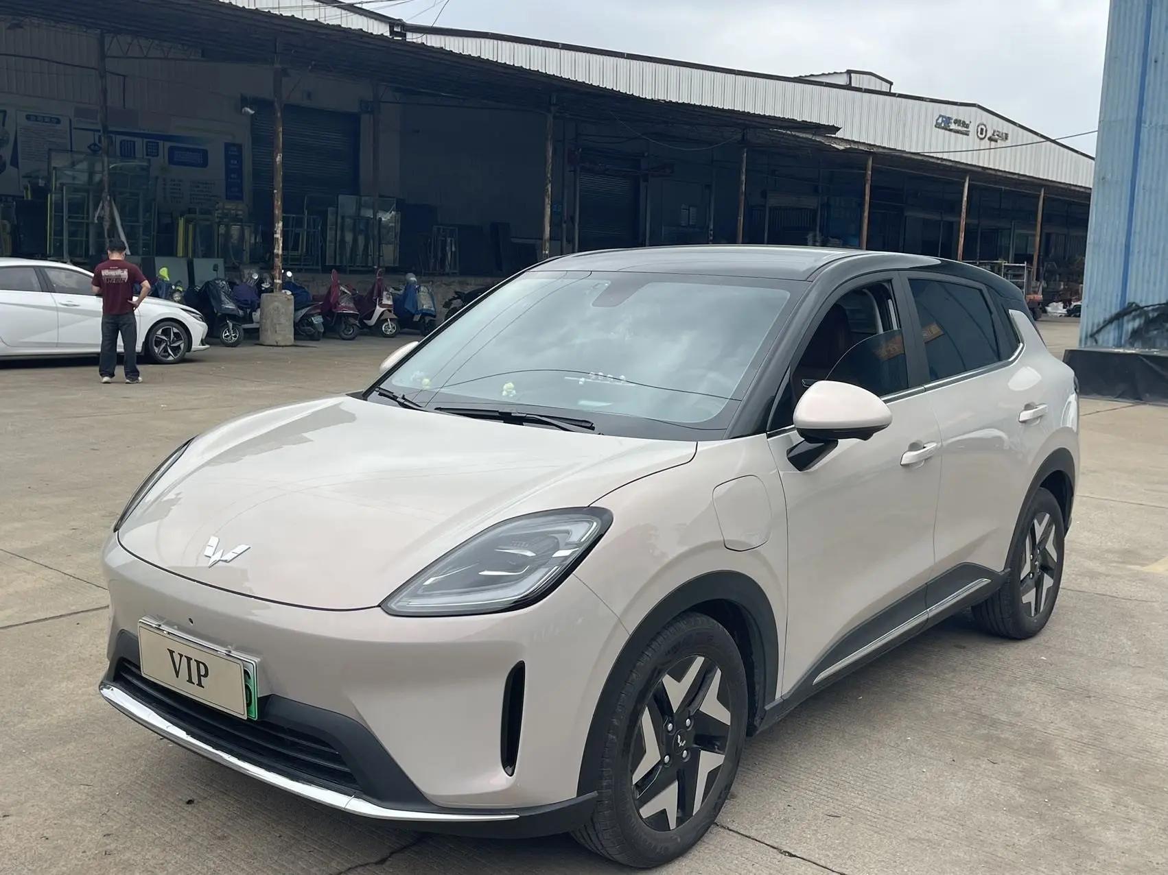 Bingo S 2025 Model, 430 km, Flagship Edition