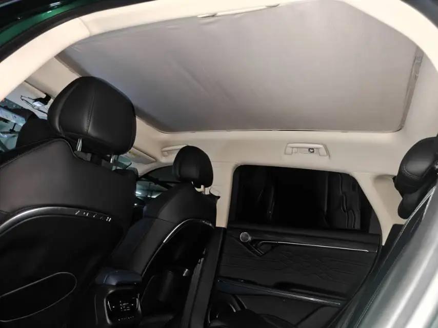 Voyah FREE 2021 4-wheel drive extended range exclusive luxury package 5
