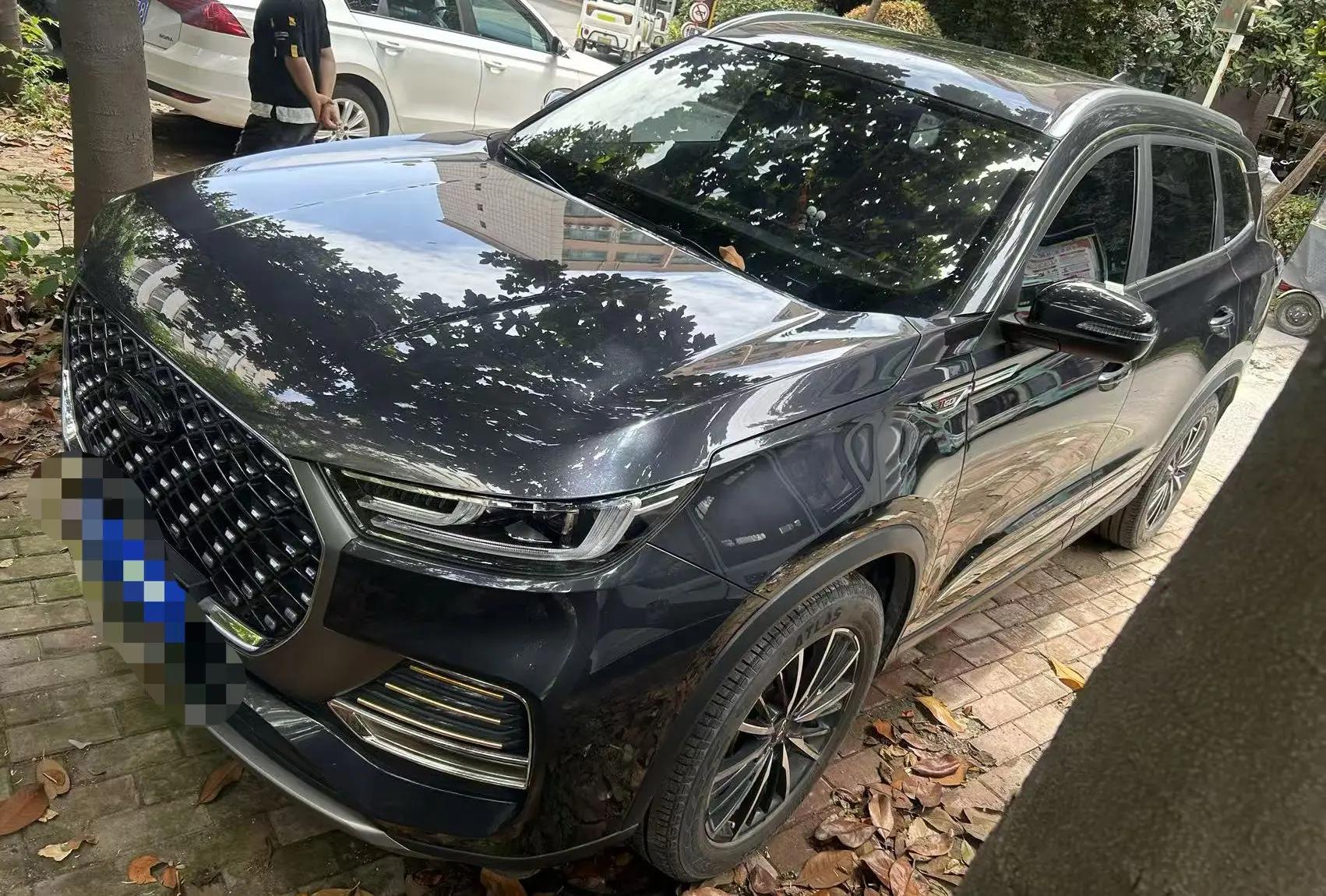Ruihu 8 PLUS 2022 290TGDI DCT Pride Edition