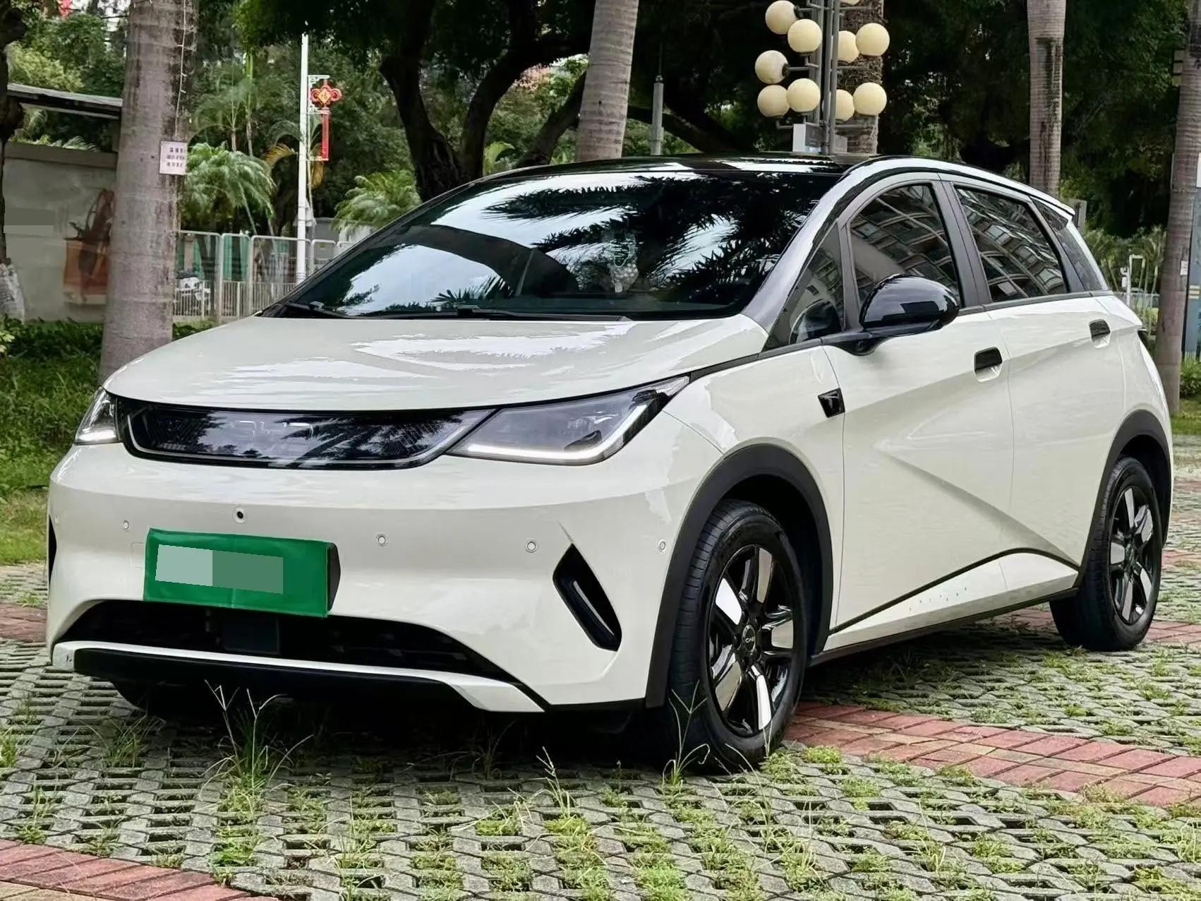 BYD 2025 Dolphin Smart Driving 410km Fashion Automatic Gear
