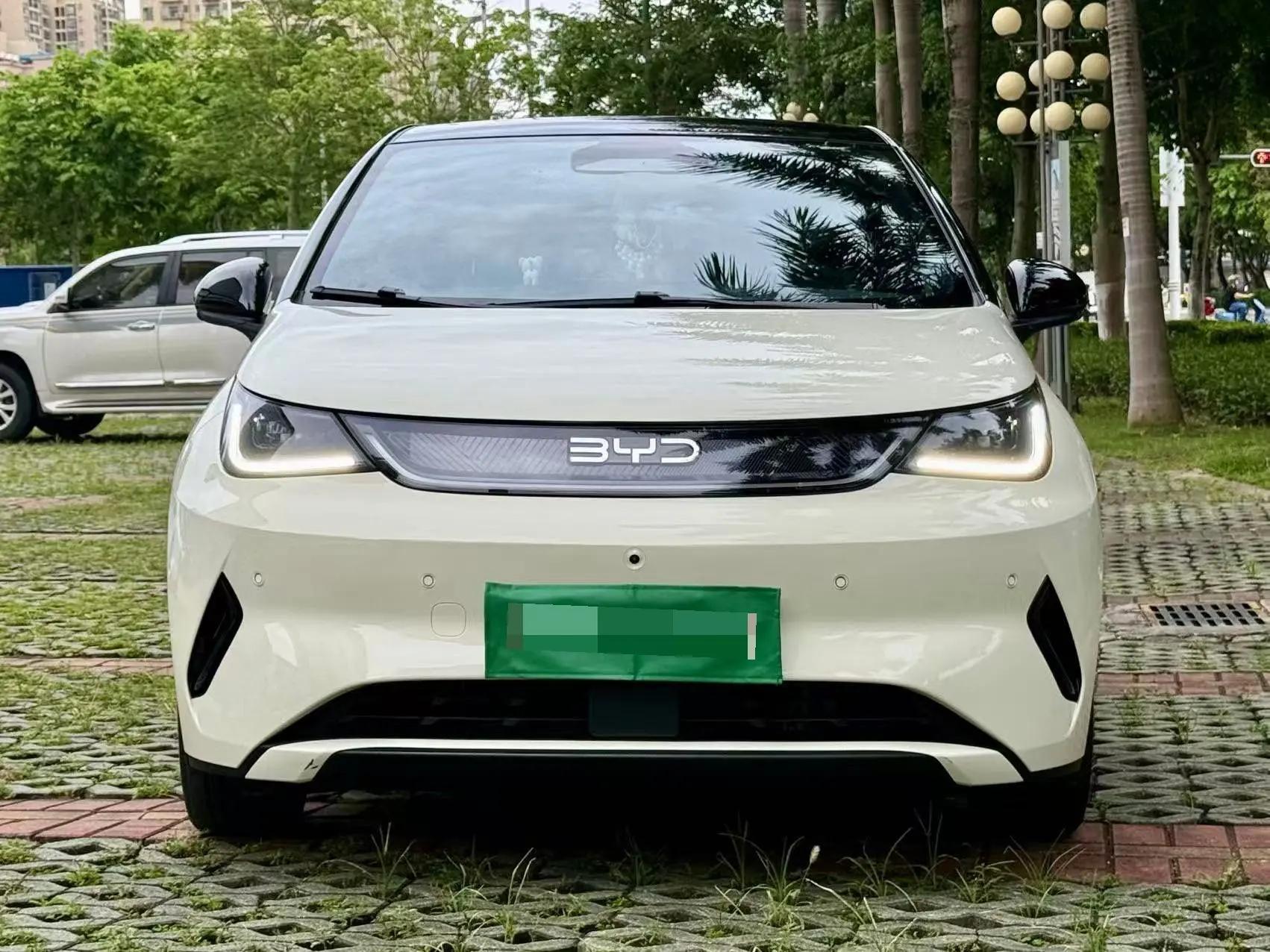 BYD 2025 Dolphin Smart Driving 410km Fashion Automatic Gear 2