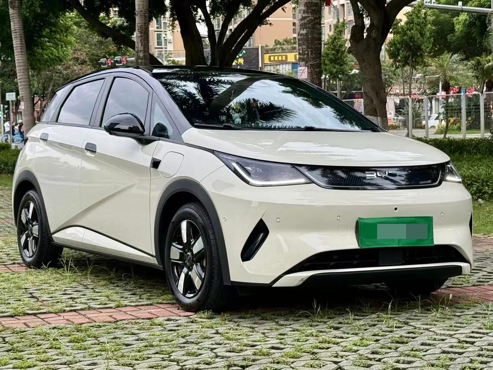 BYD 2025 Dolphin Smart Driving 410km Fashion Automatic Gear 3