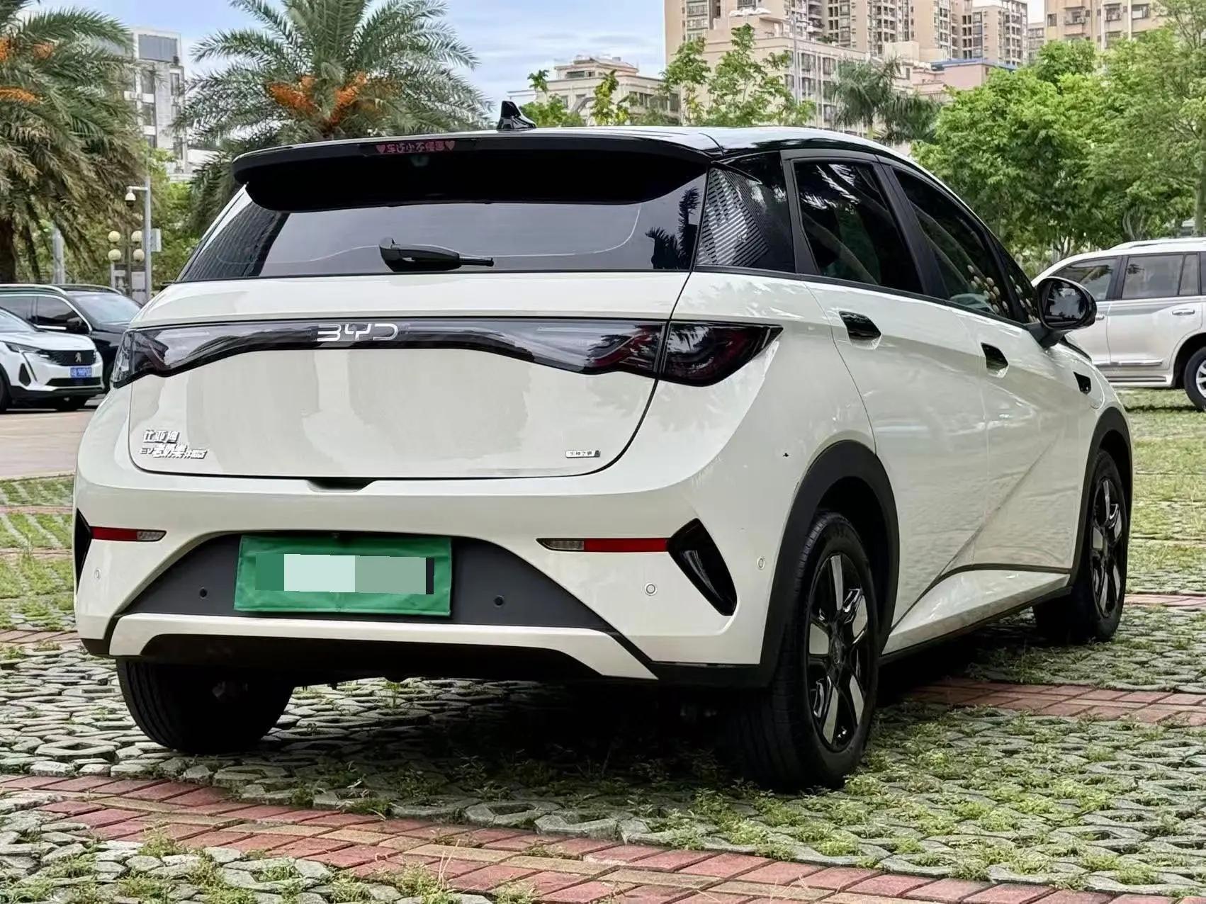 BYD 2025 Dolphin Smart Driving 410km Fashion Automatic Gear 7