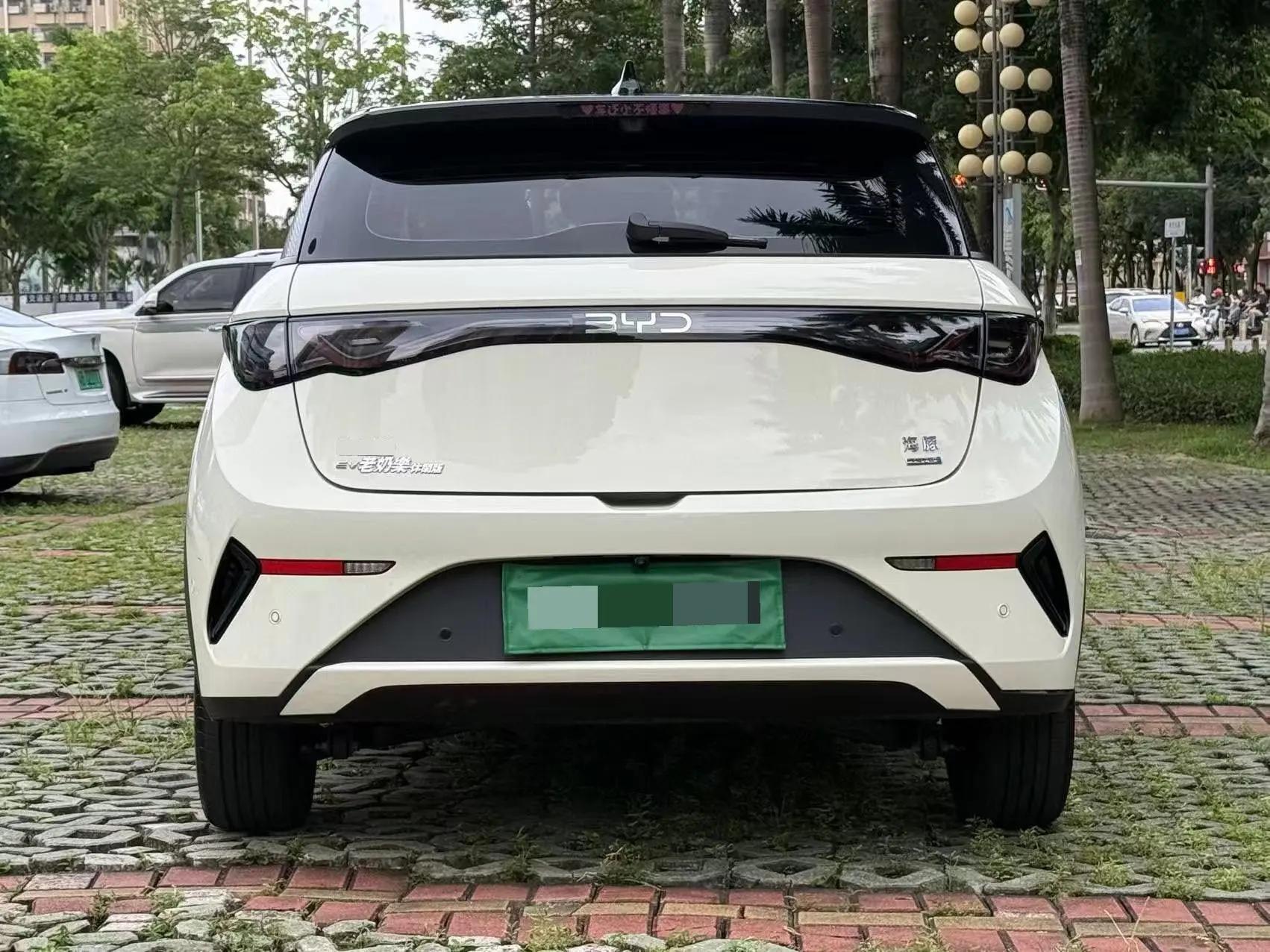 BYD 2025 Dolphin Smart Driving 410km Fashion Automatic Gear 8