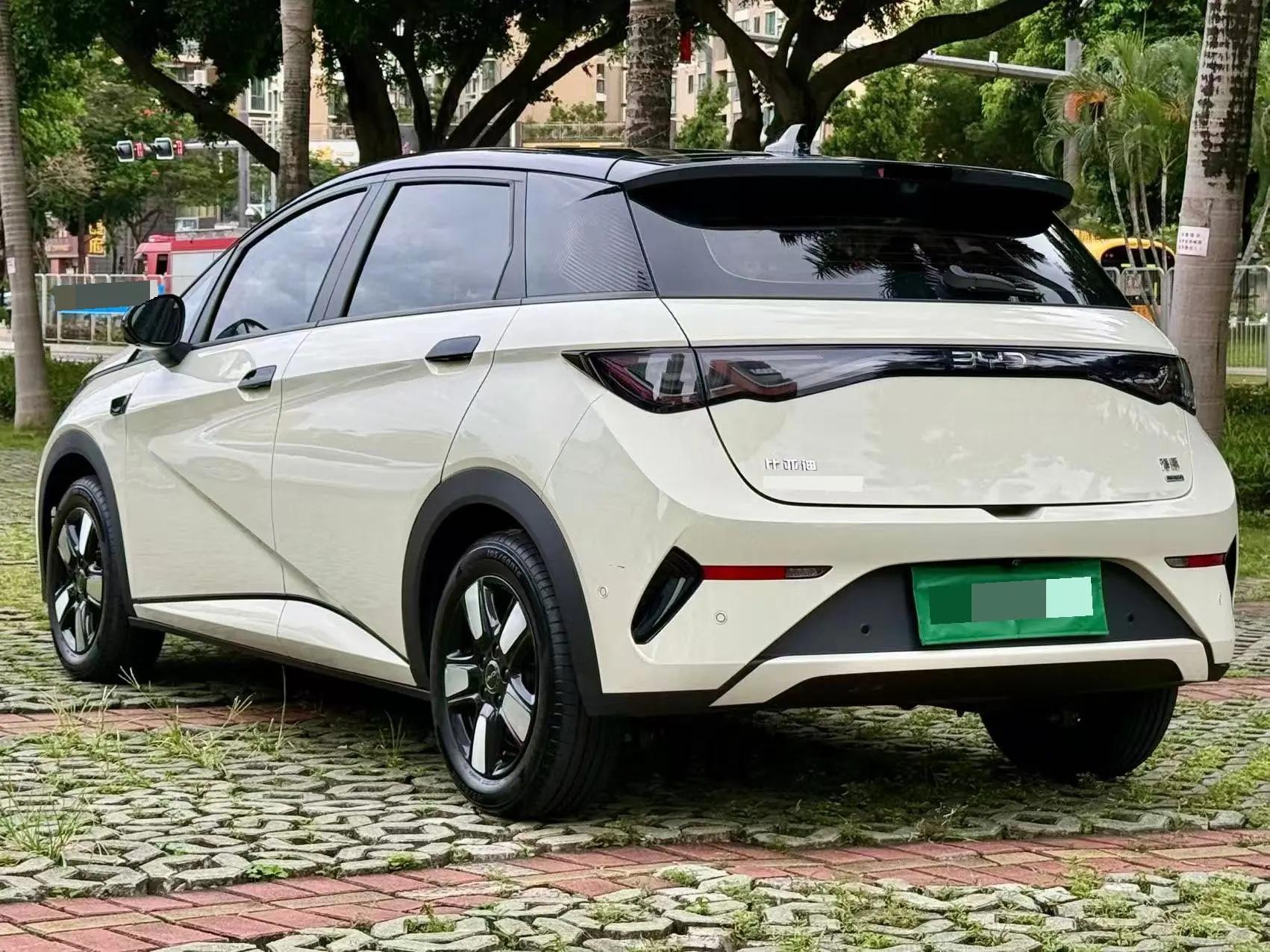 BYD 2025 Dolphin Smart Driving 410km Fashion Automatic Gear 9