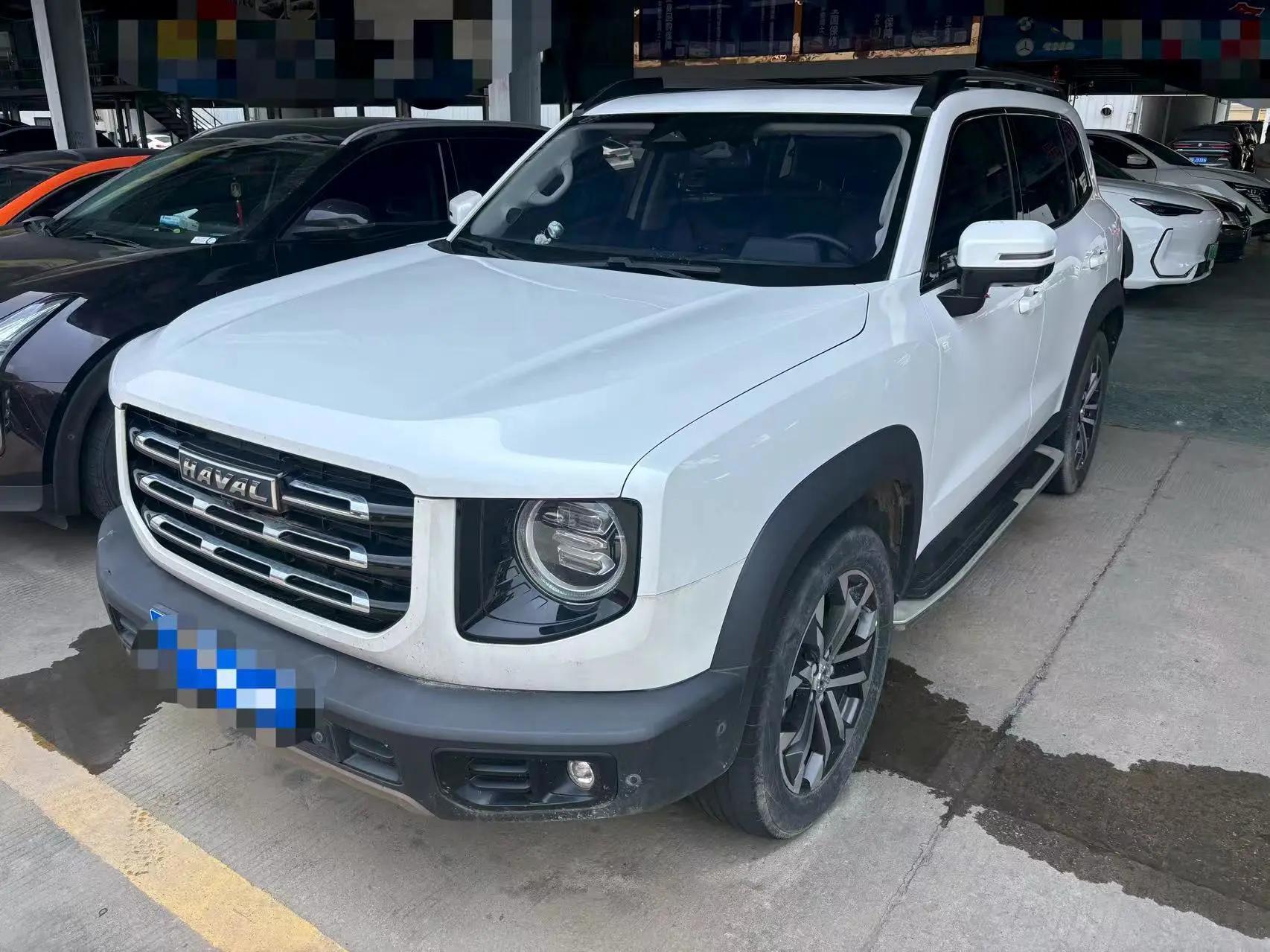 Haval Big Dog 2021 1.5T DCT Two-Drive Horse Dog-Wangcai Edition