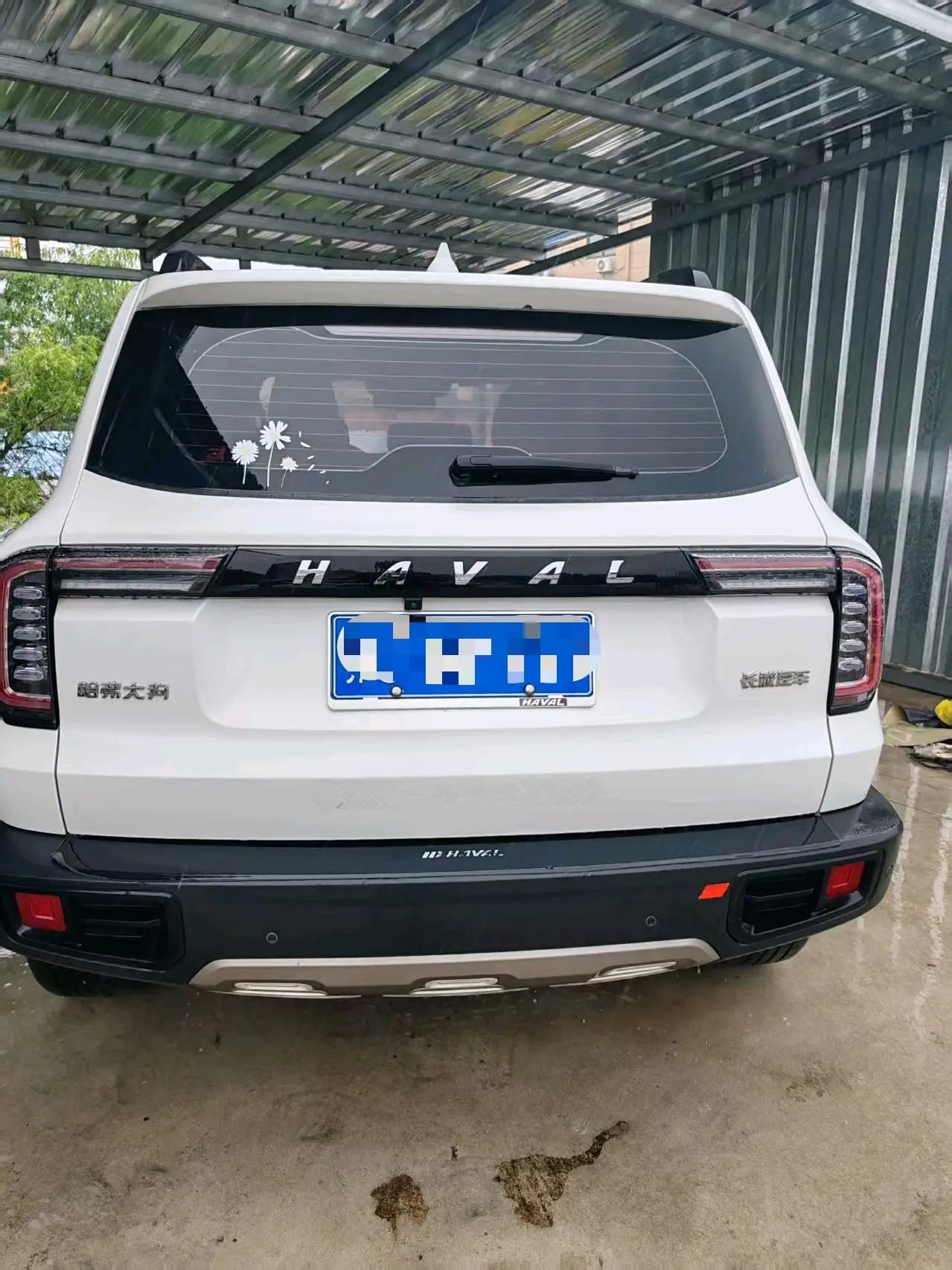 Haval Big Dog 2022 1.5T DCT Two-Drive Border Pastoral Edition 7