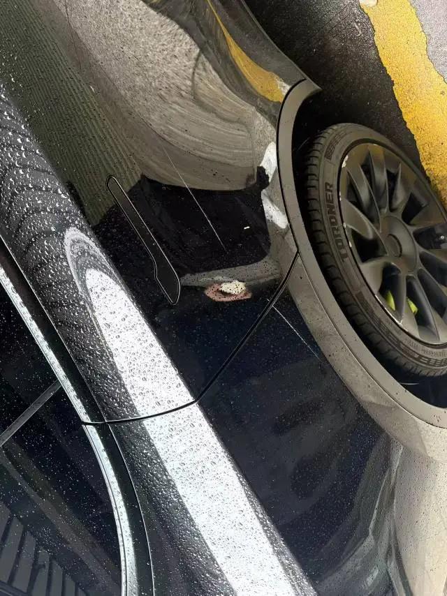 Model Y 2021 Long Range All-Wheel Drive Edition 5
