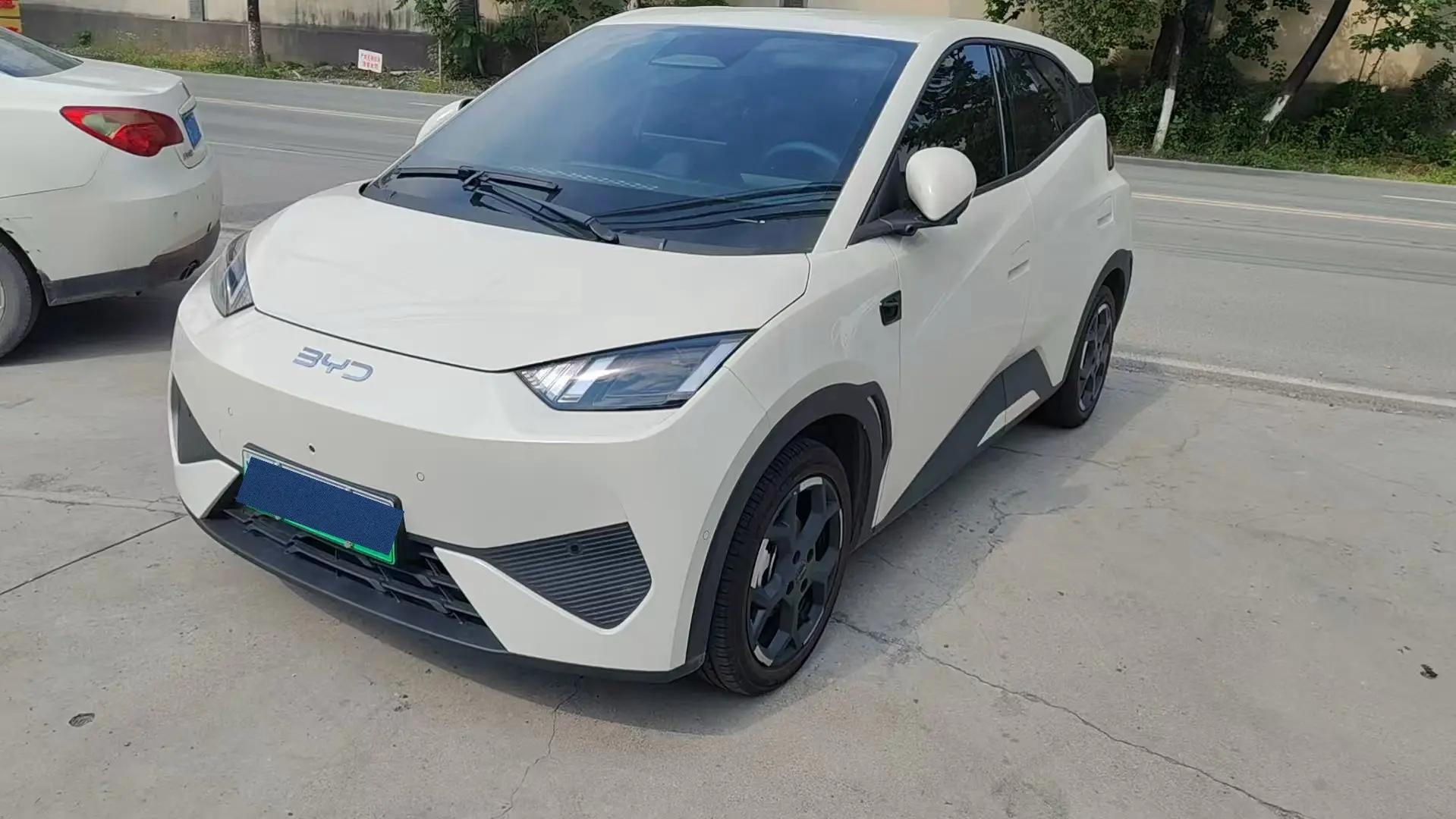 BYD 2025 Seagull Intelligent Driving Edition 305km Vitality Edition Automatic