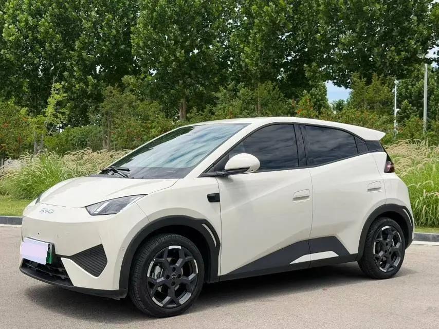 BYD 2025 Seagull Smart Driving Edition 405km Free Edition Automatic Gear