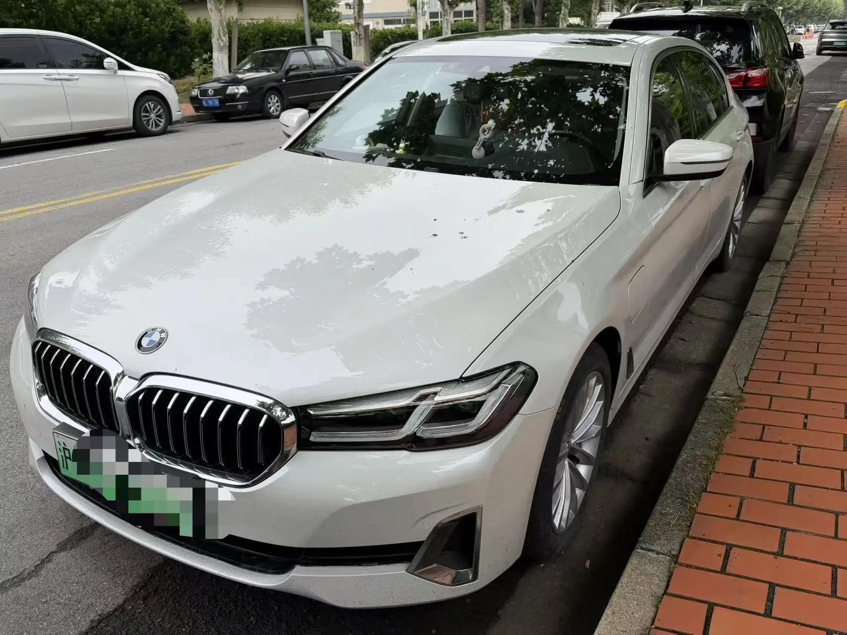 BMW 5 New Energy 2021 535Le Deluxe Suit