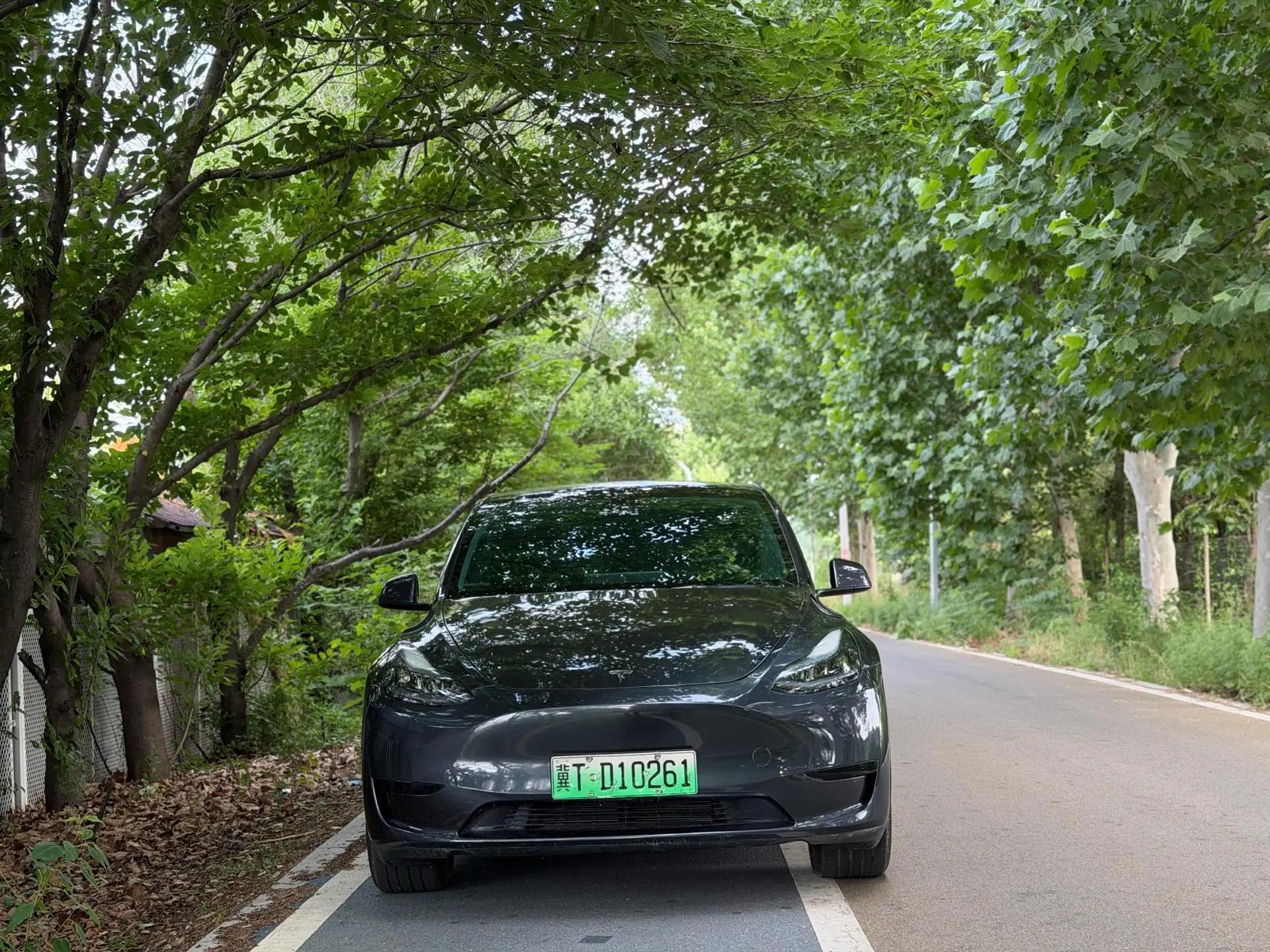 2024 Model Y Rear-Wheel Drive Edition 2
